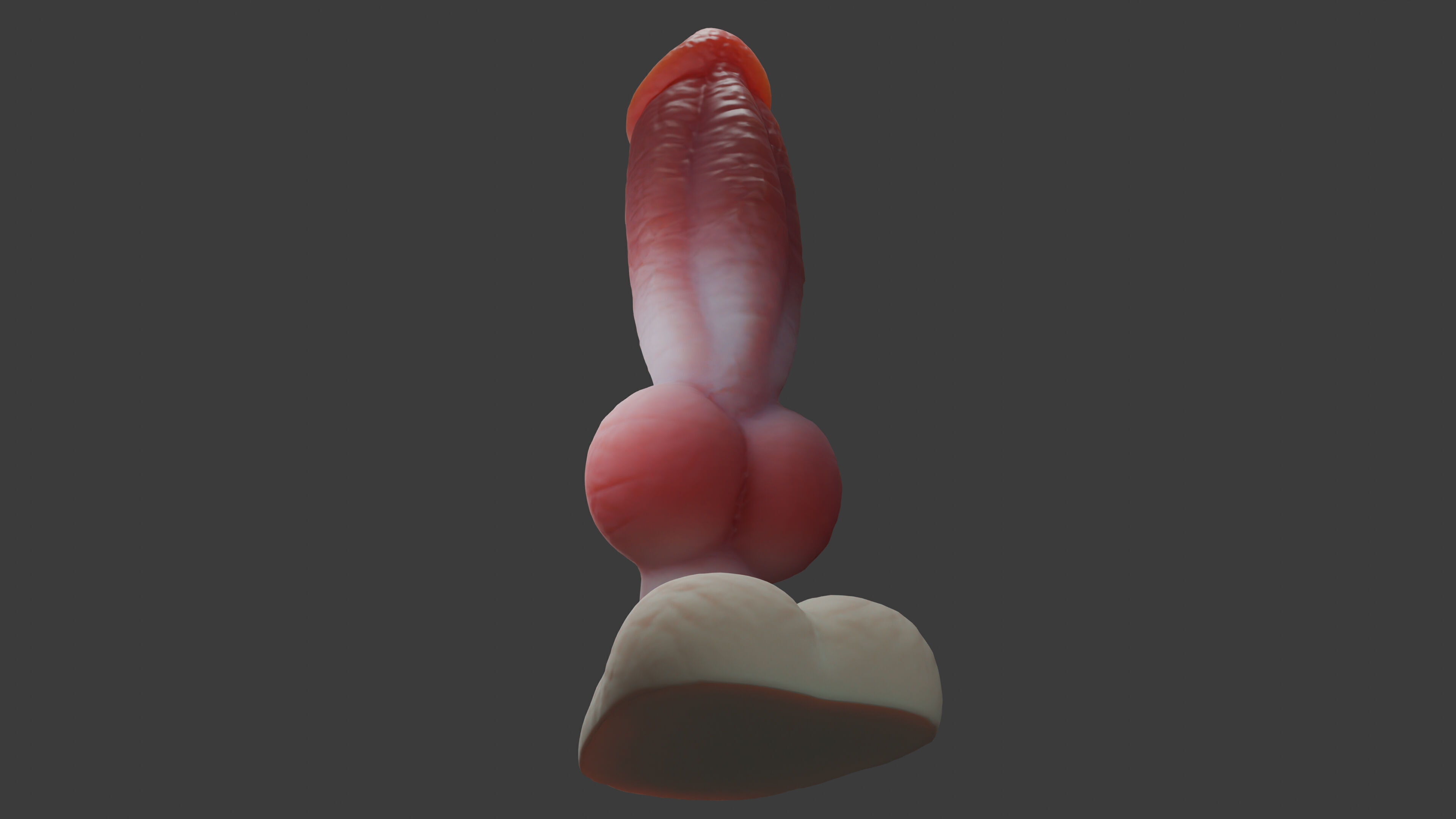 Gunthros Dog Penis low poly Rigged Low-poly 3D model_6