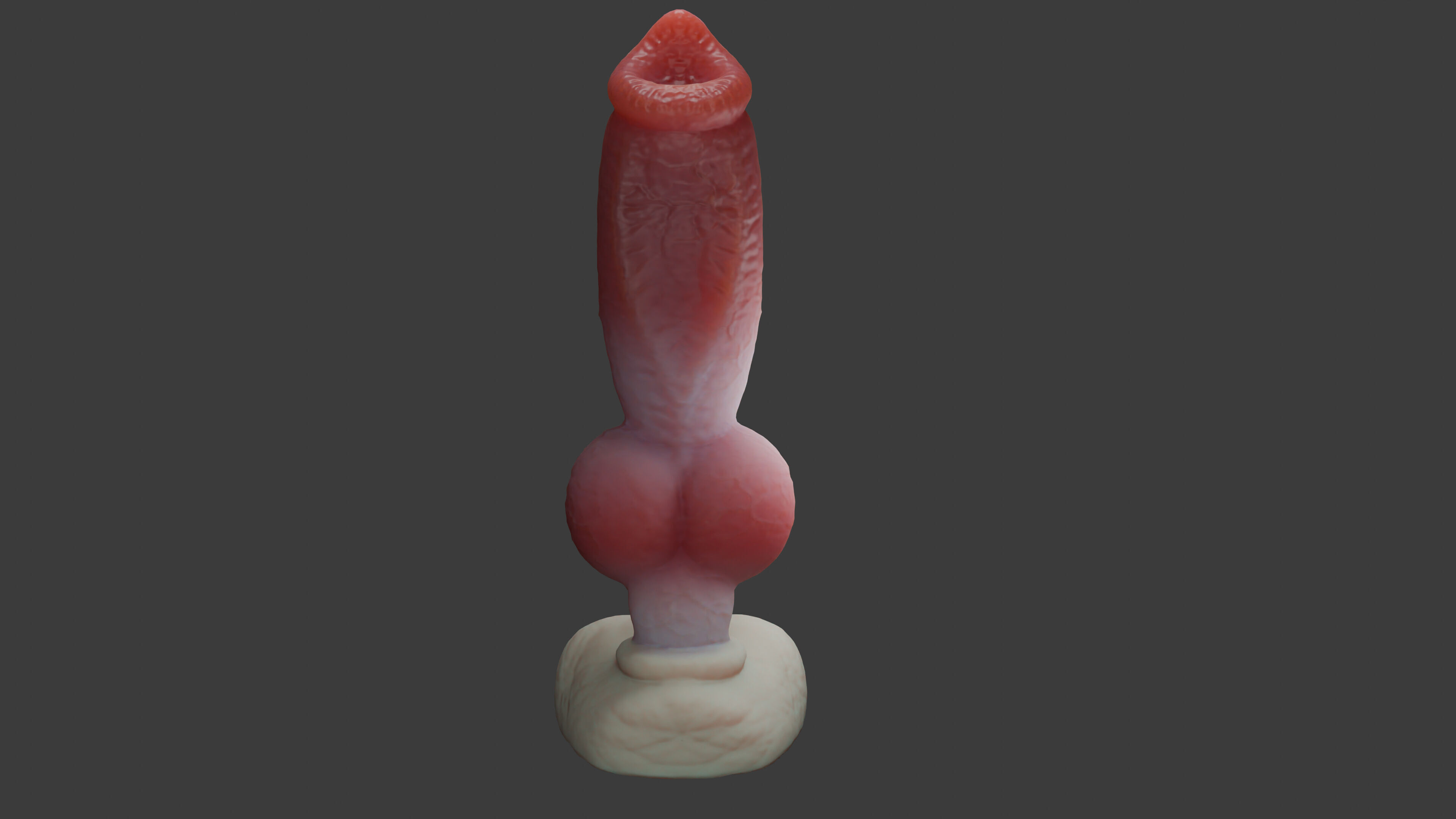 Gunthros Dog Penis low poly Rigged Low-poly 3D model_4