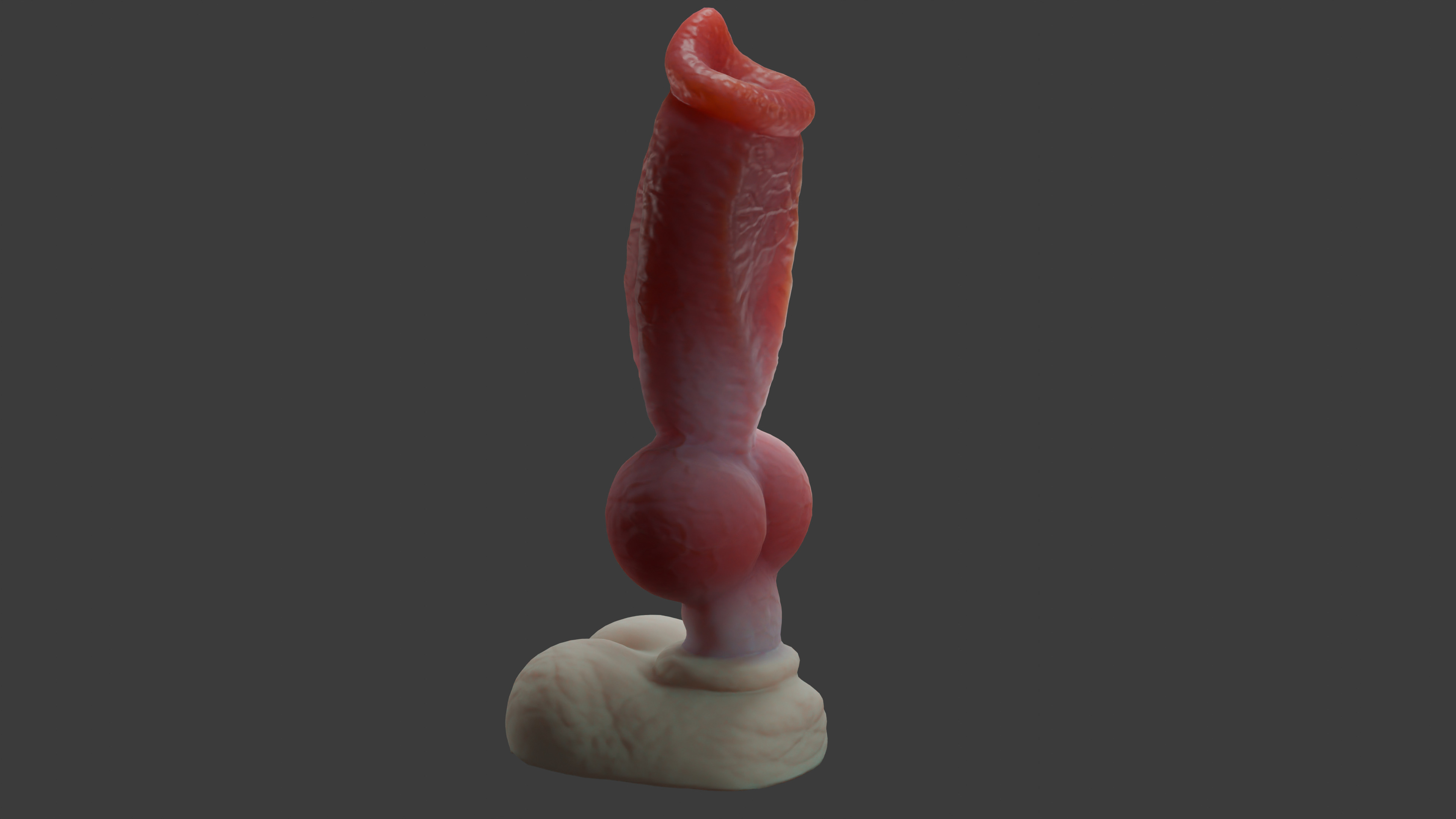 Gunthros Dog Penis low poly Rigged Low-poly 3D model_3