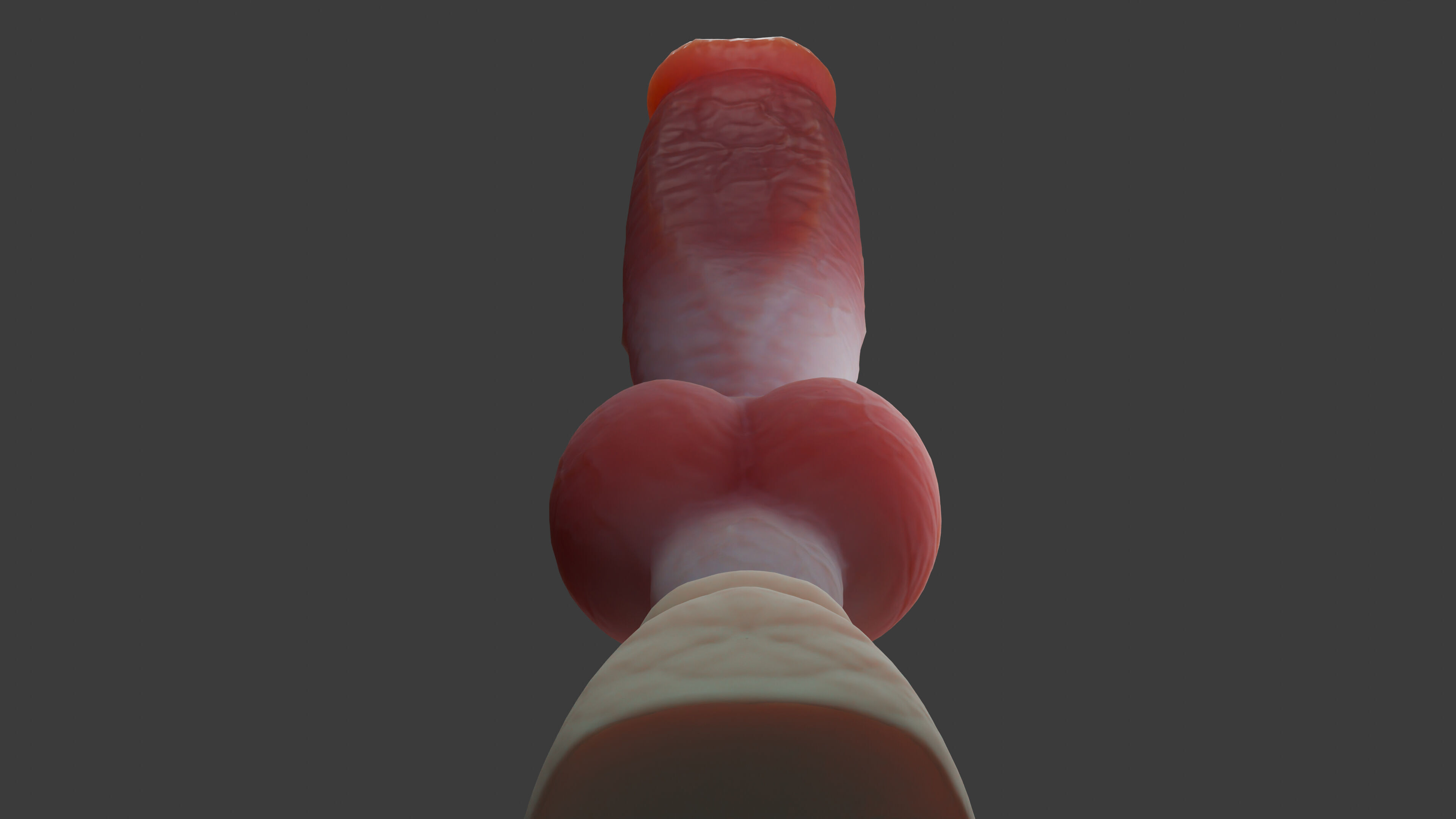 Gunthros Dog Penis low poly Rigged Low-poly 3D model_7