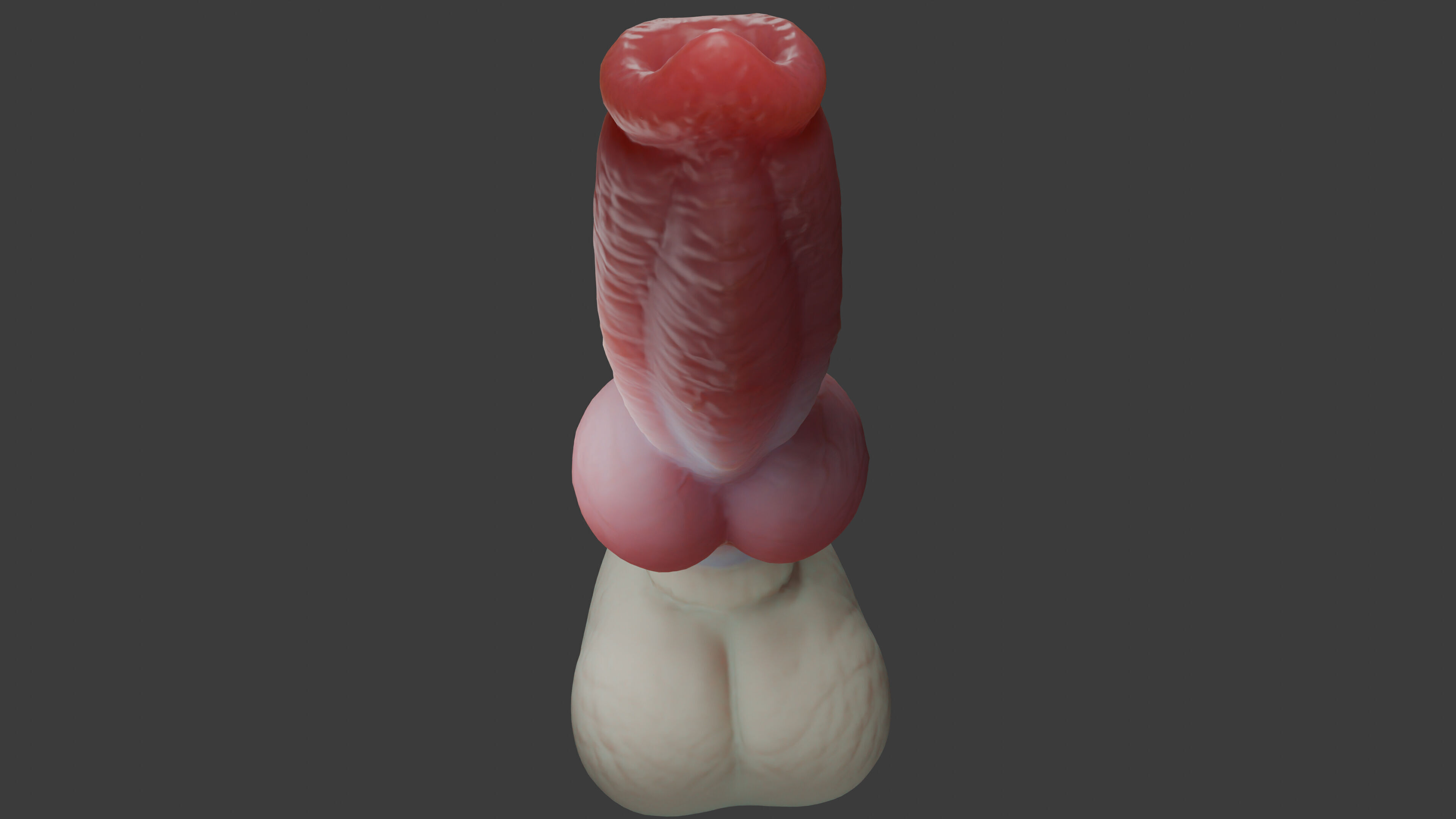 Gunthros Dog Penis low poly Rigged Low-poly 3D model_8