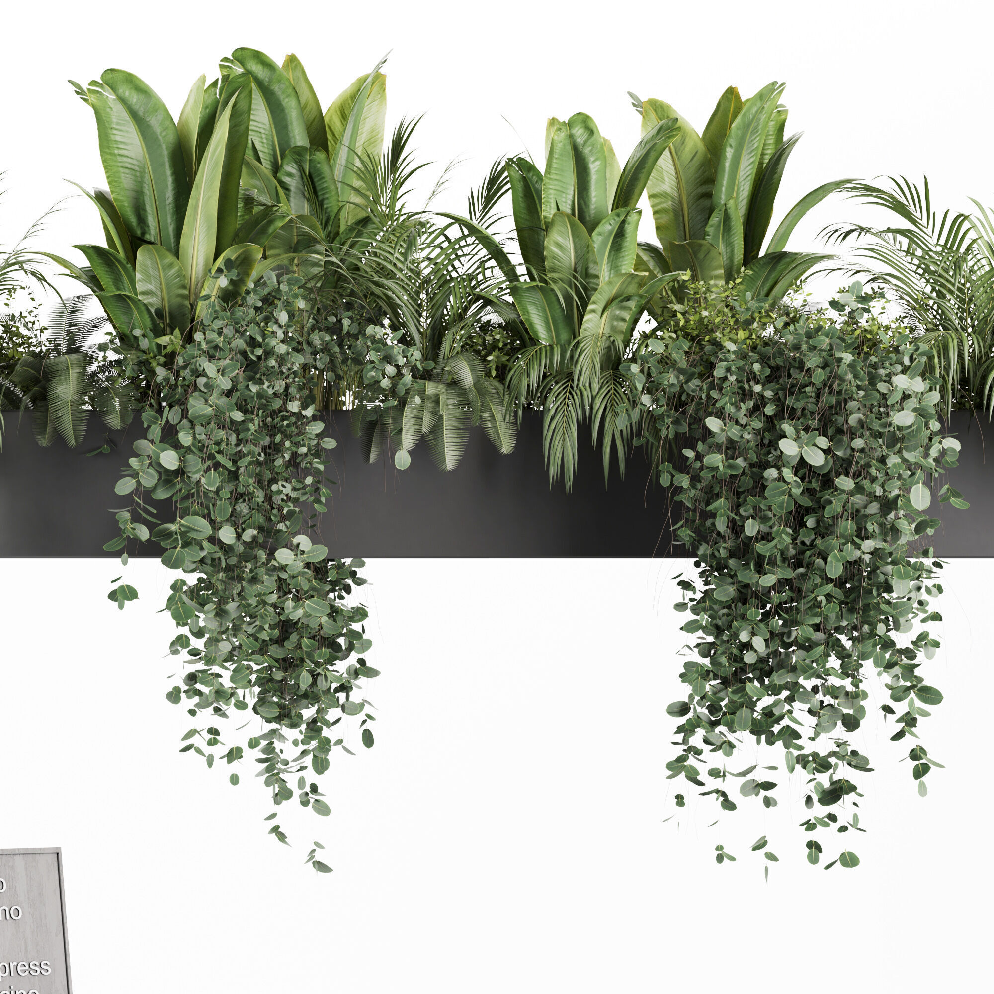  coffee bar Reception Desk With Hanging Plants - Set04 3D model_3
