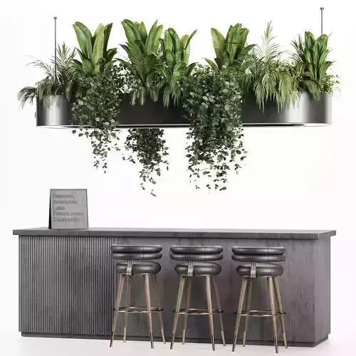  coffee bar Reception Desk With Hanging Plants - Set04