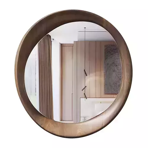 Asymmetric Mirror