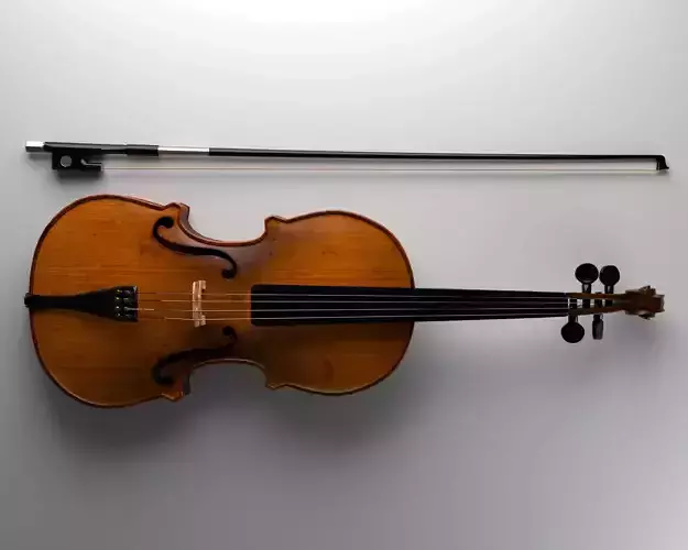 Violin
