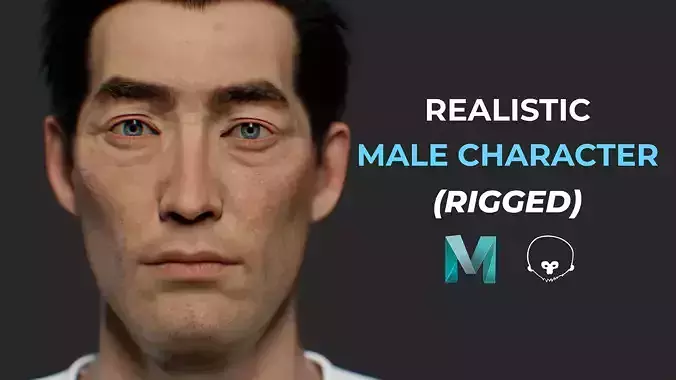 Aiguo Lite  Fully Rigged 3D Character No Animations 3D model