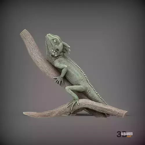 boyds forest dragon on a branch 3D print model