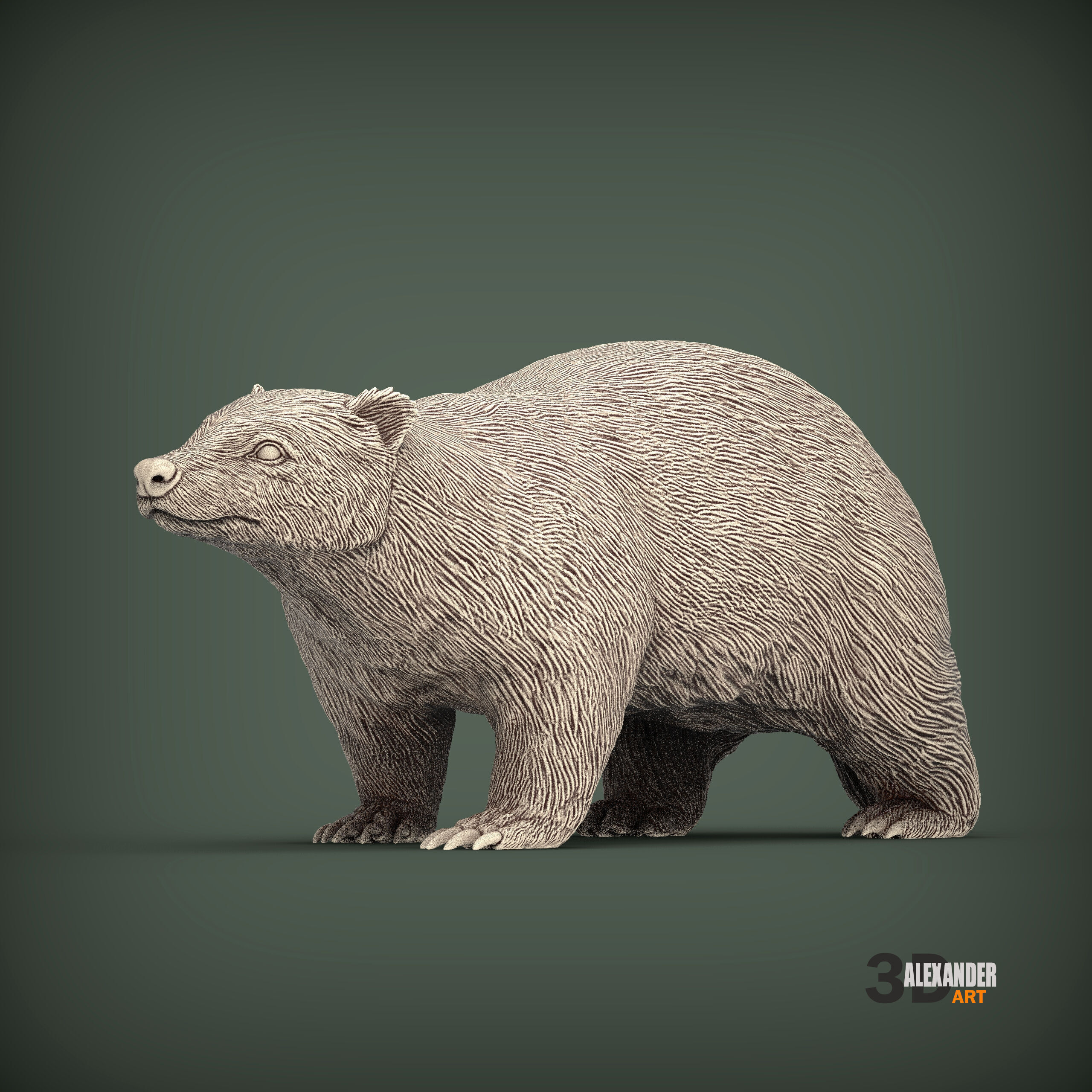 European Badger 3D print model_1