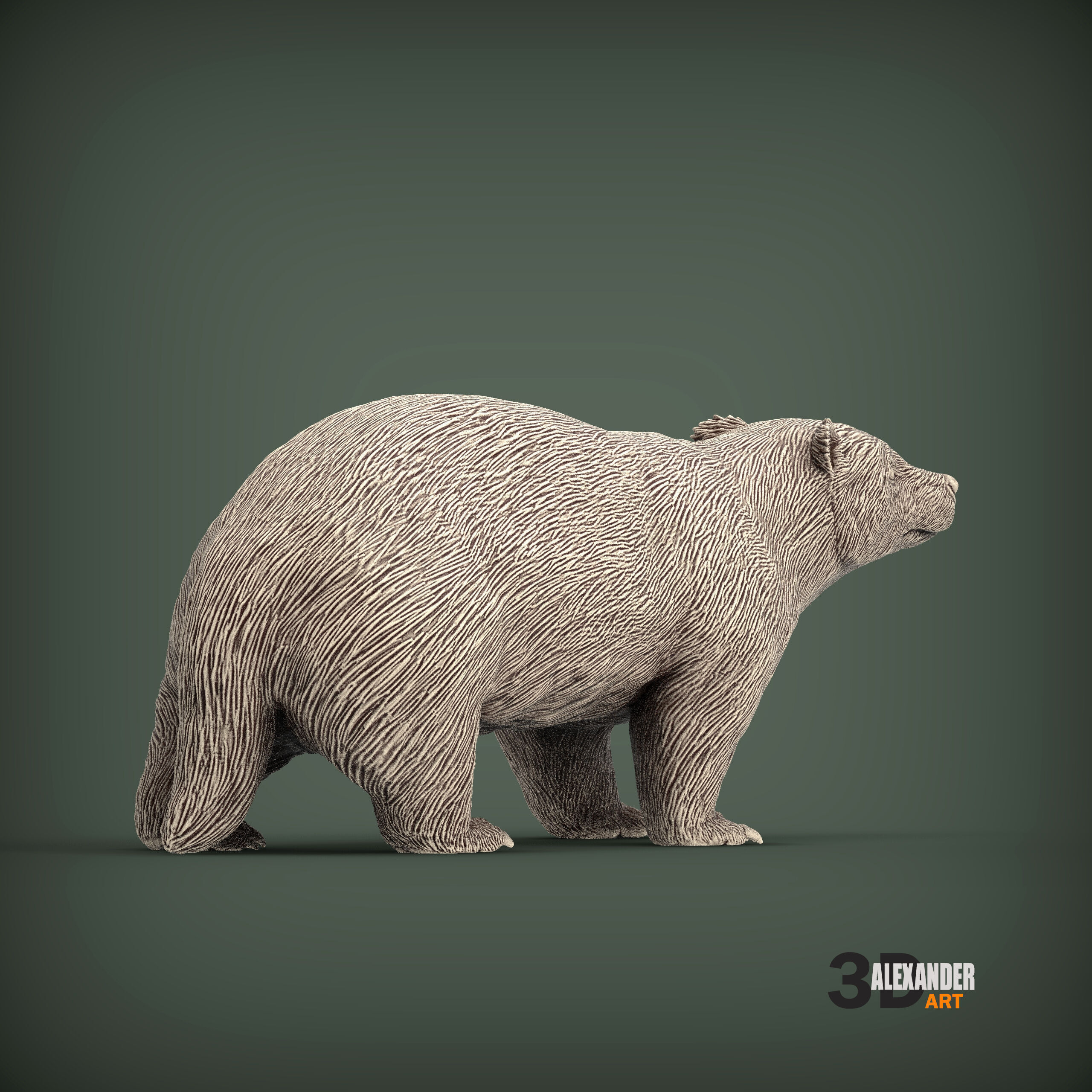 European Badger 3D print model_5
