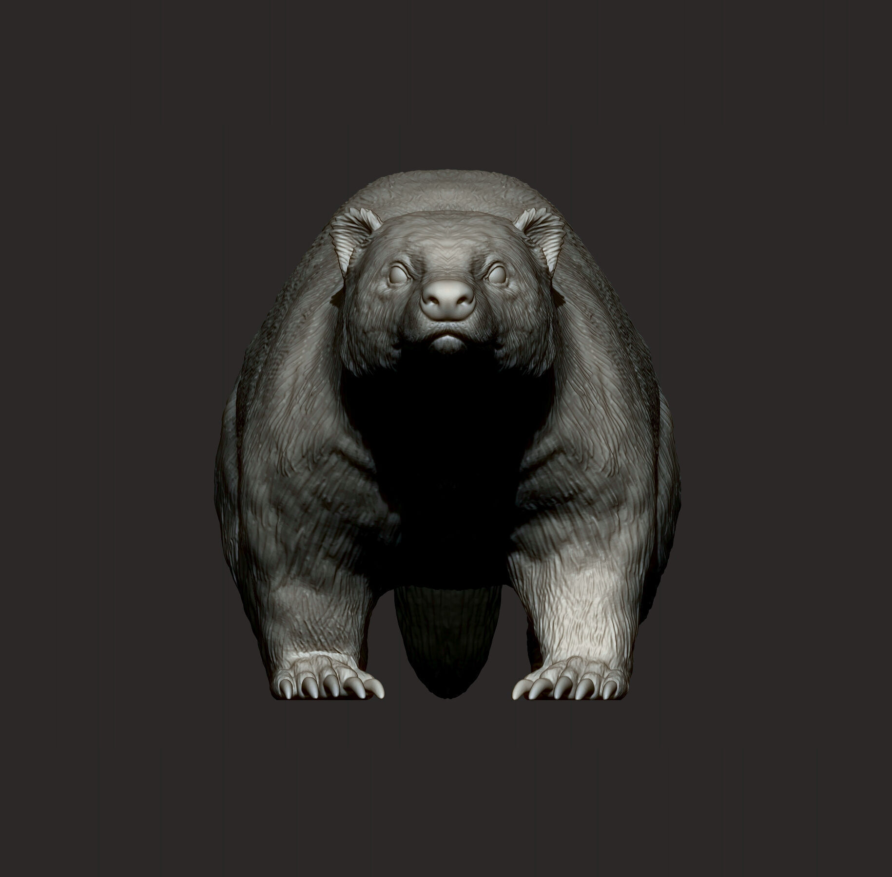 European Badger 3D print model_9