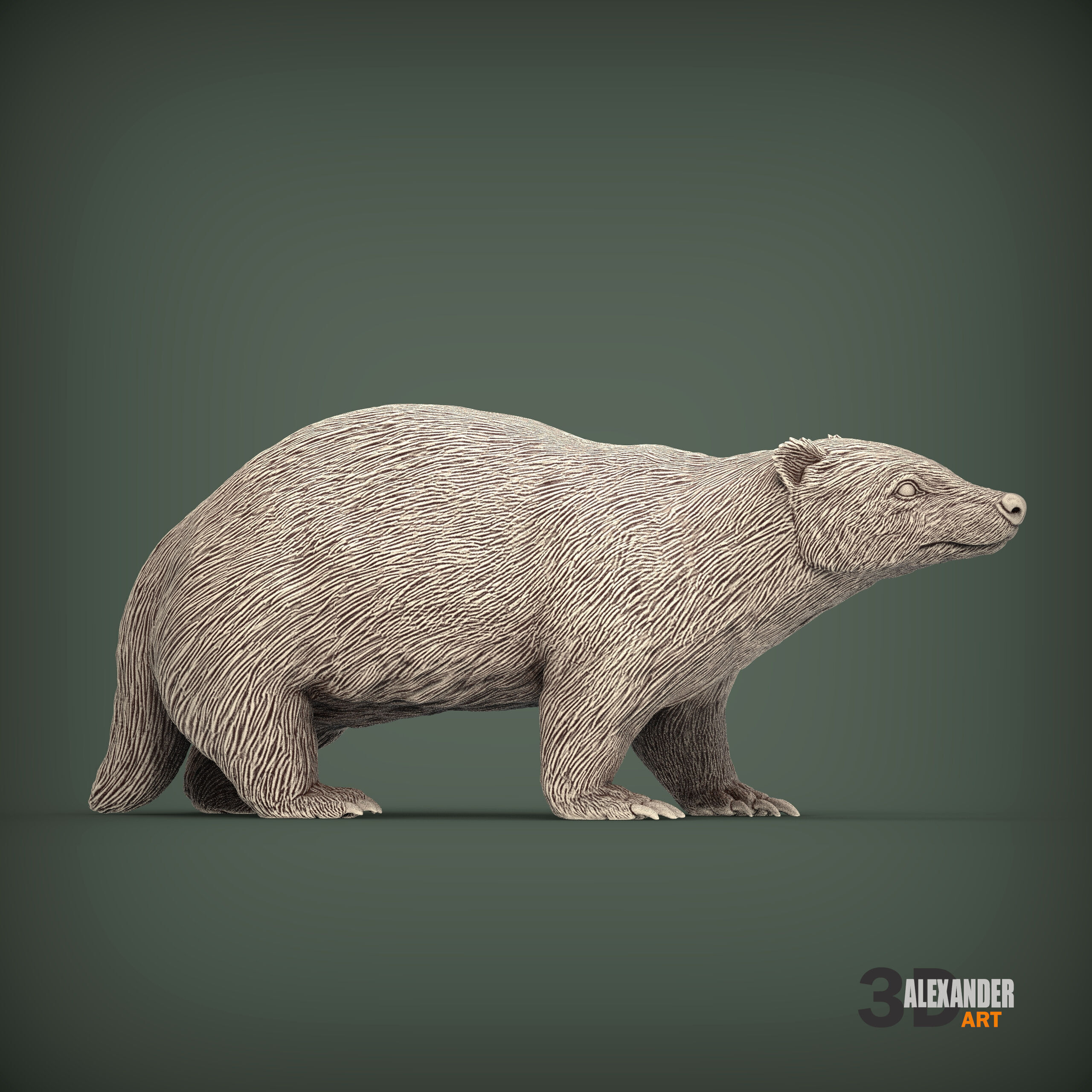 European Badger 3D print model_3