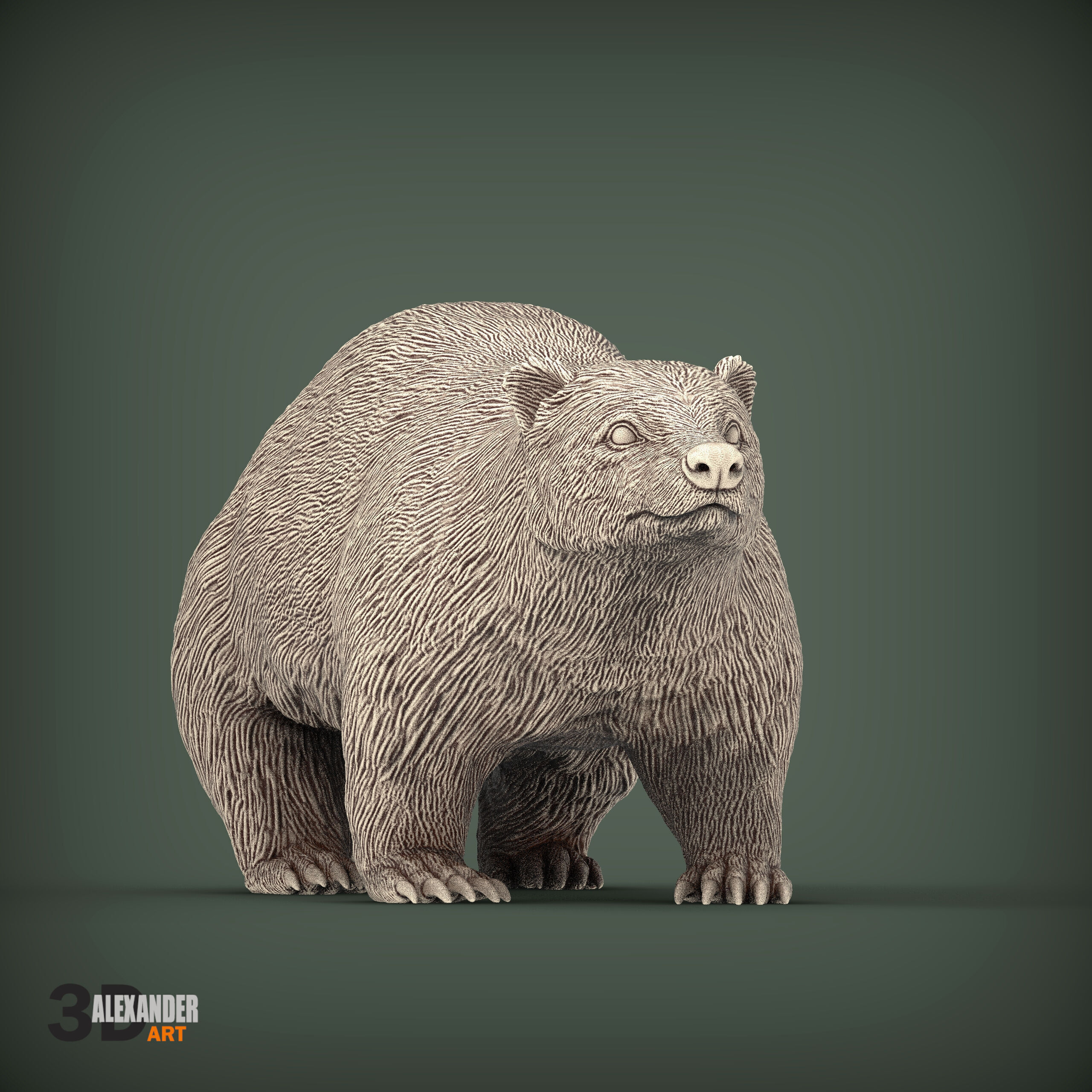 European Badger 3D print model_2