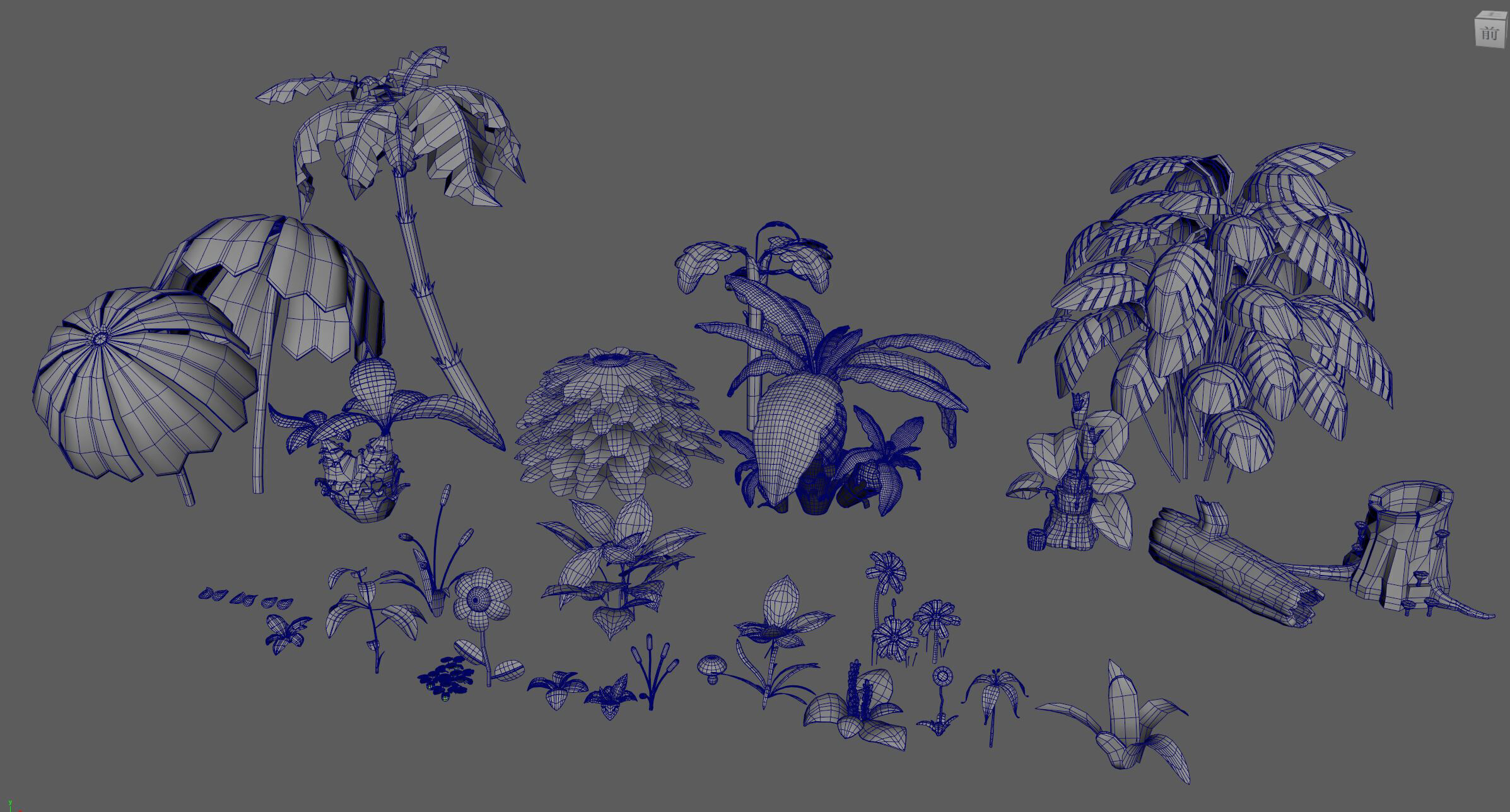 tropical plants 3D model_2