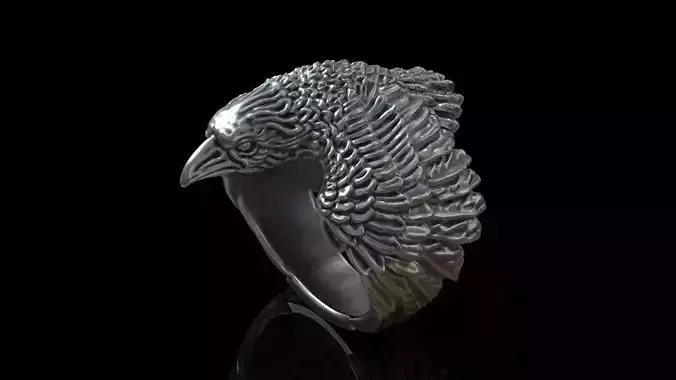 Raven ring 3D print model