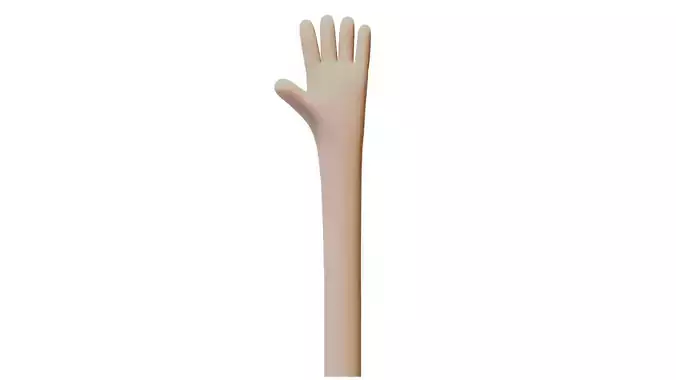 Low-poly Cartoon Hand Stylized