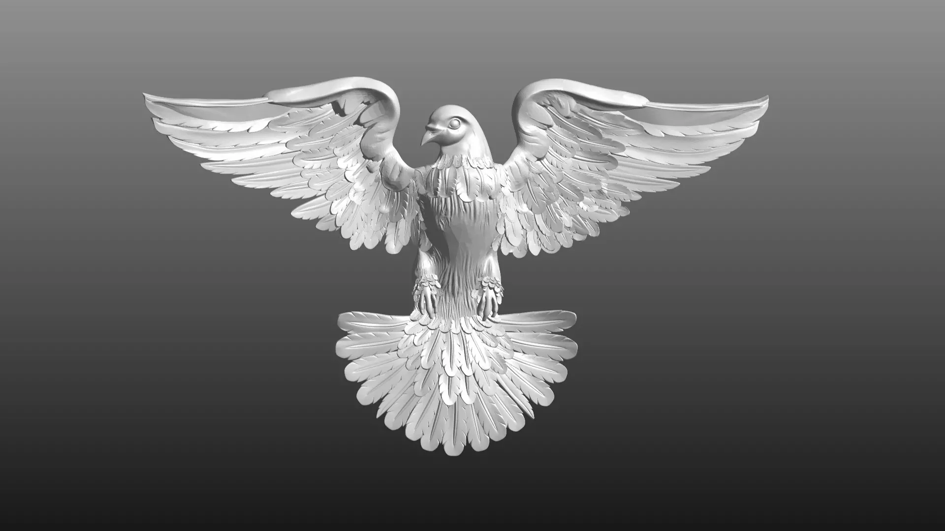 dove 6 3D model_0