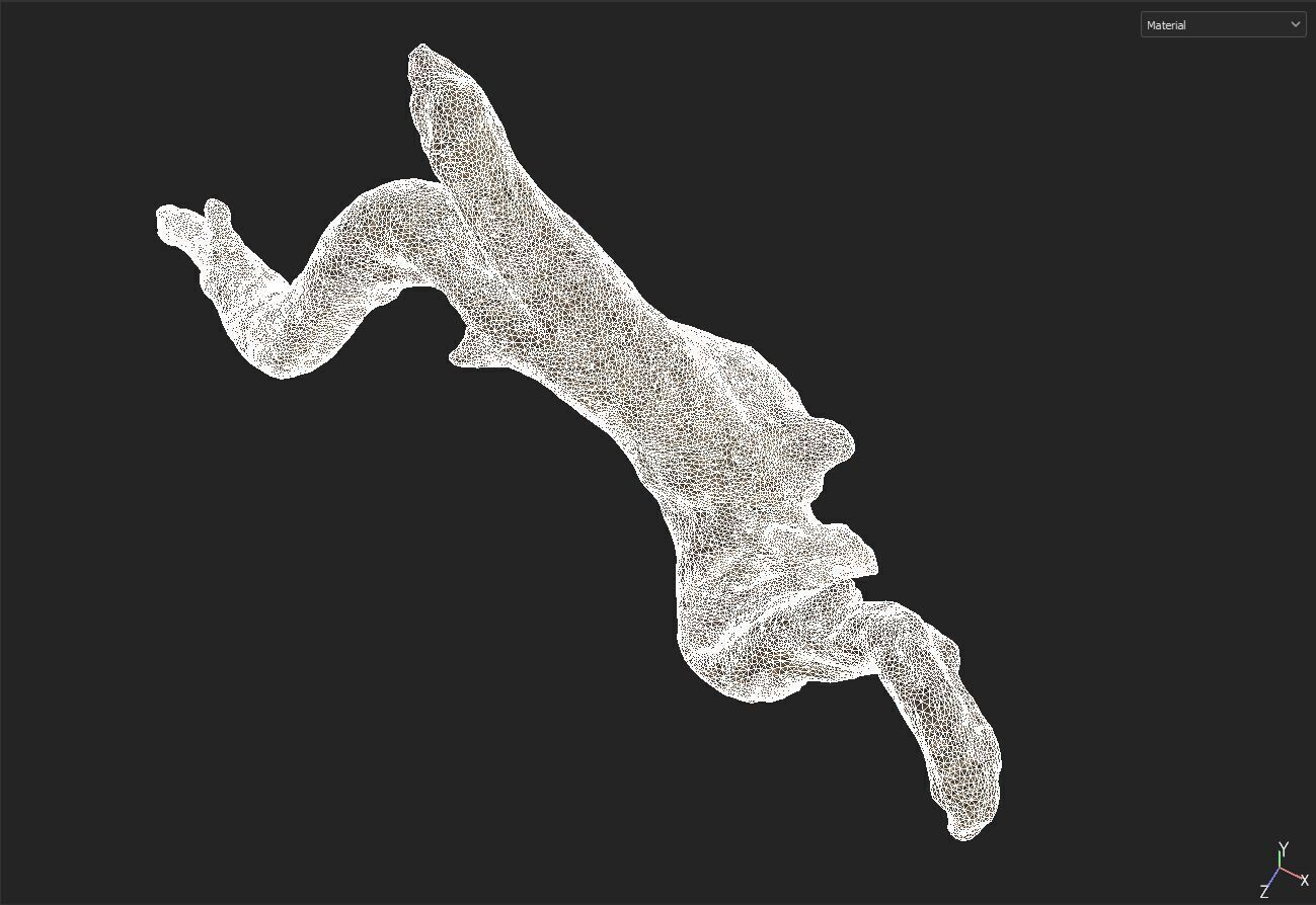 wood drift 3D model_6