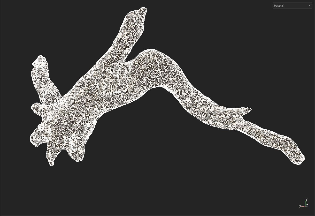 wood drift 3D model_8