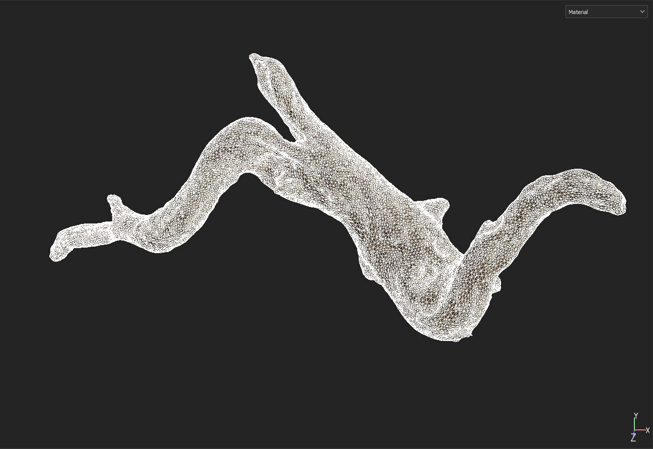 wood drift 3D model_5