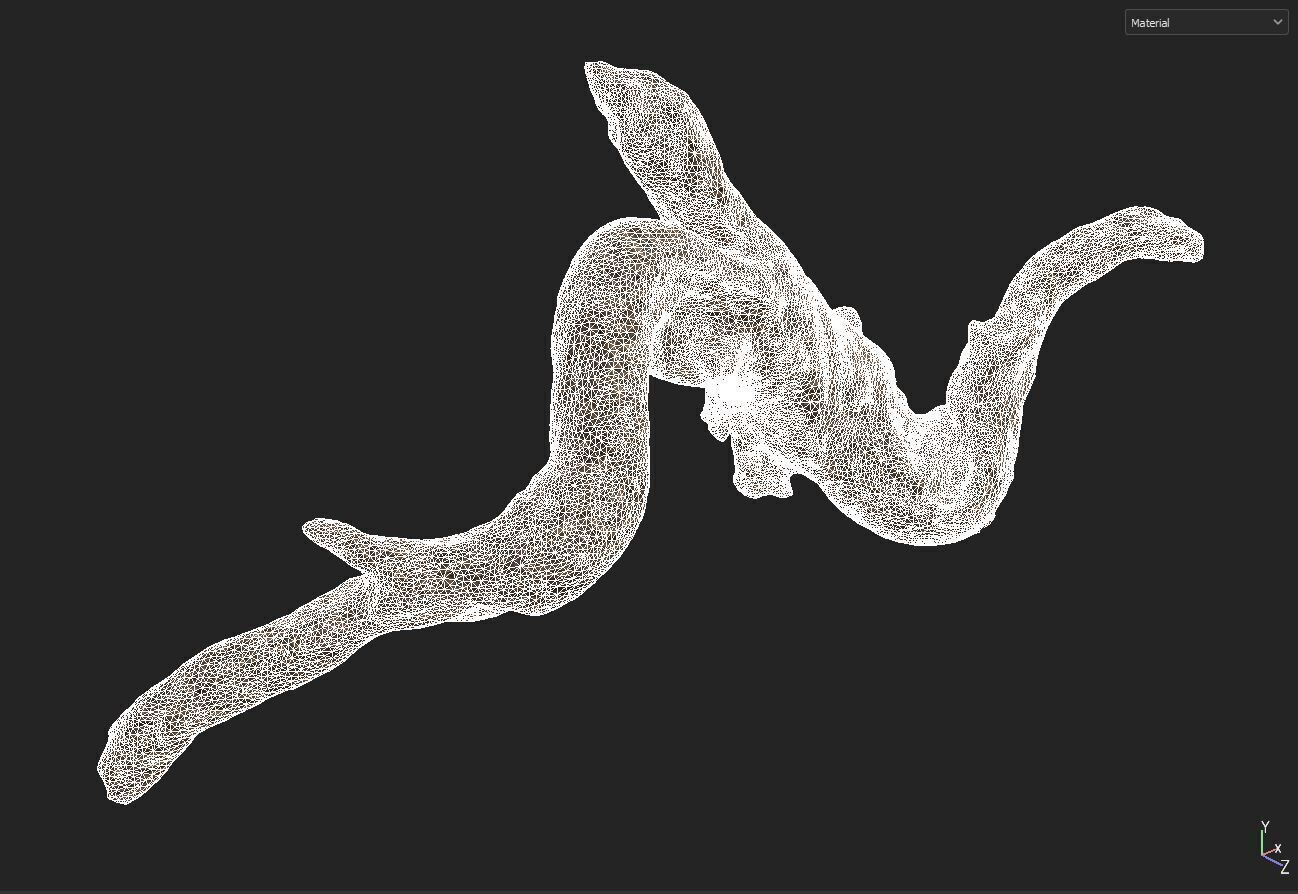 wood drift 3D model_7