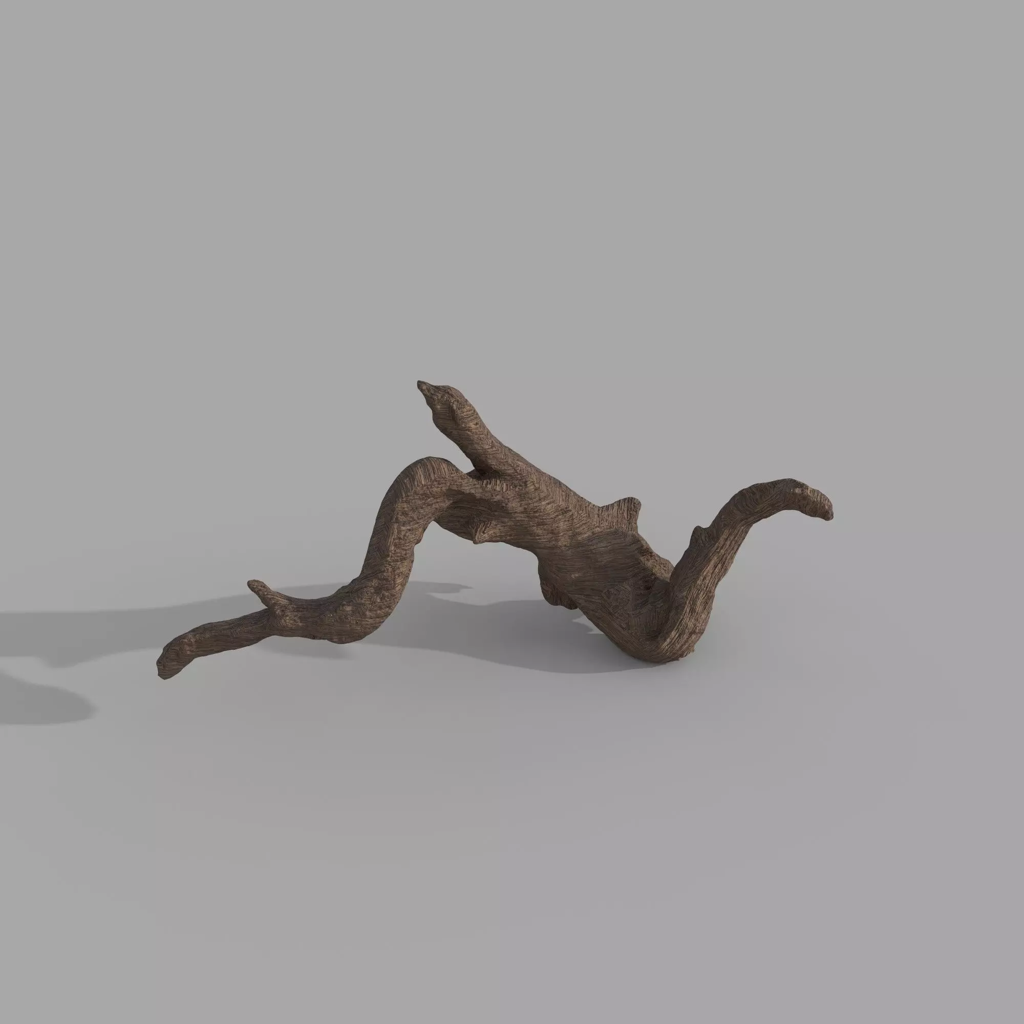 wood drift 3D model_0