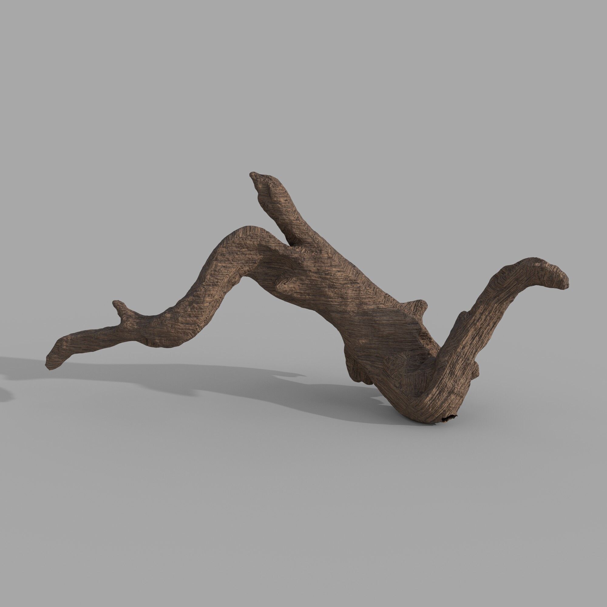 wood drift 3D model_3