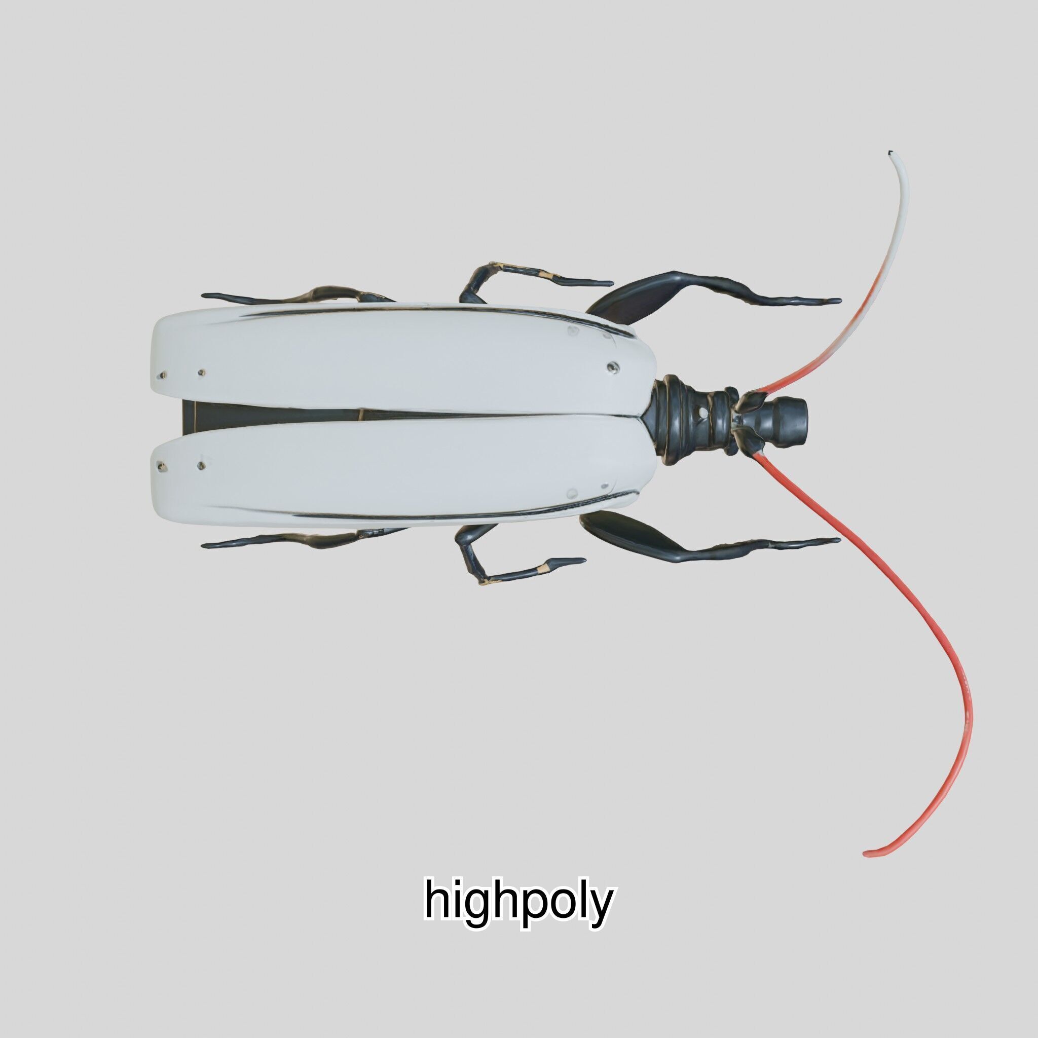 Futuristic Robotic Cockroach Model Low-poly 3D model_8