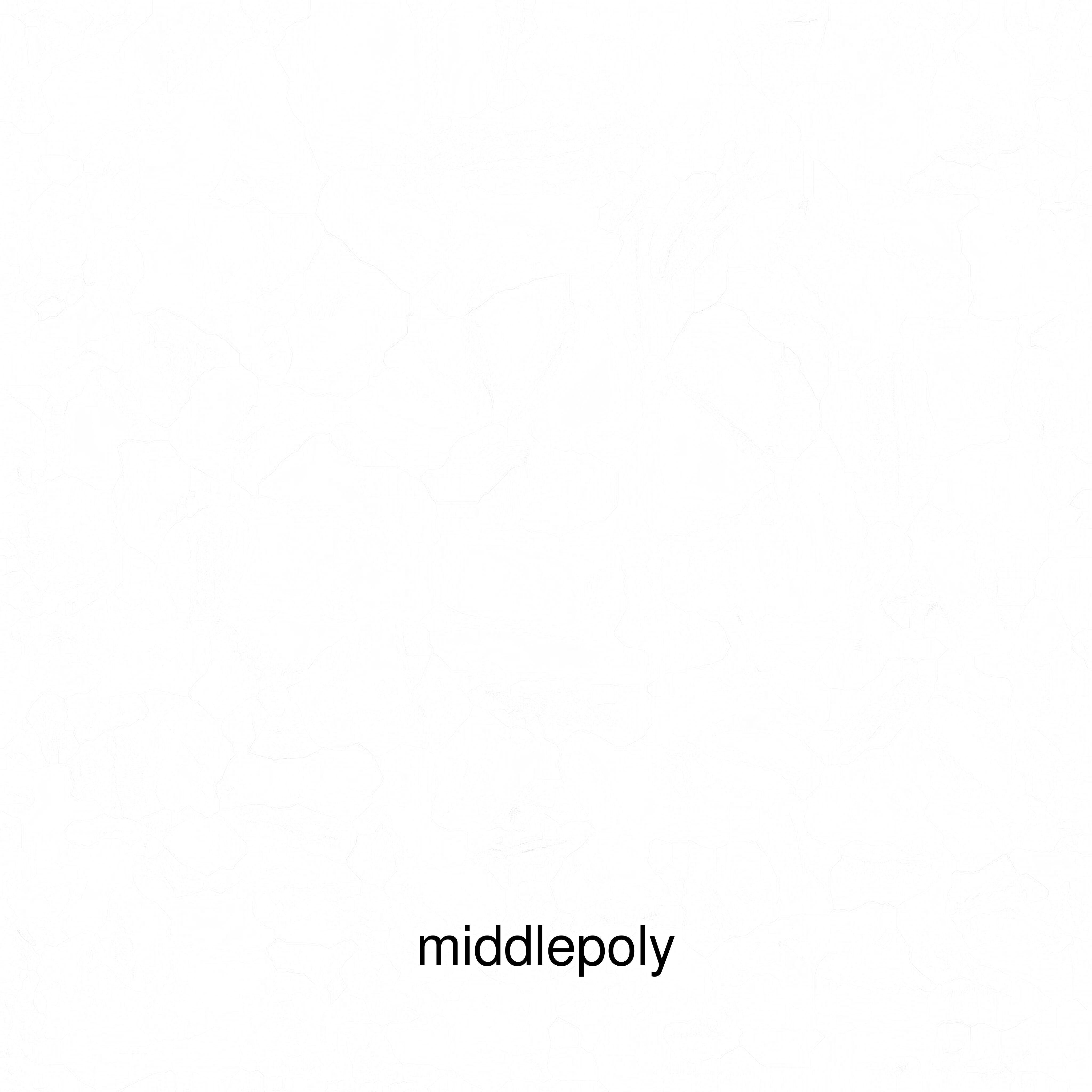 Futuristic Robotic Cockroach Model Low-poly 3D model_33