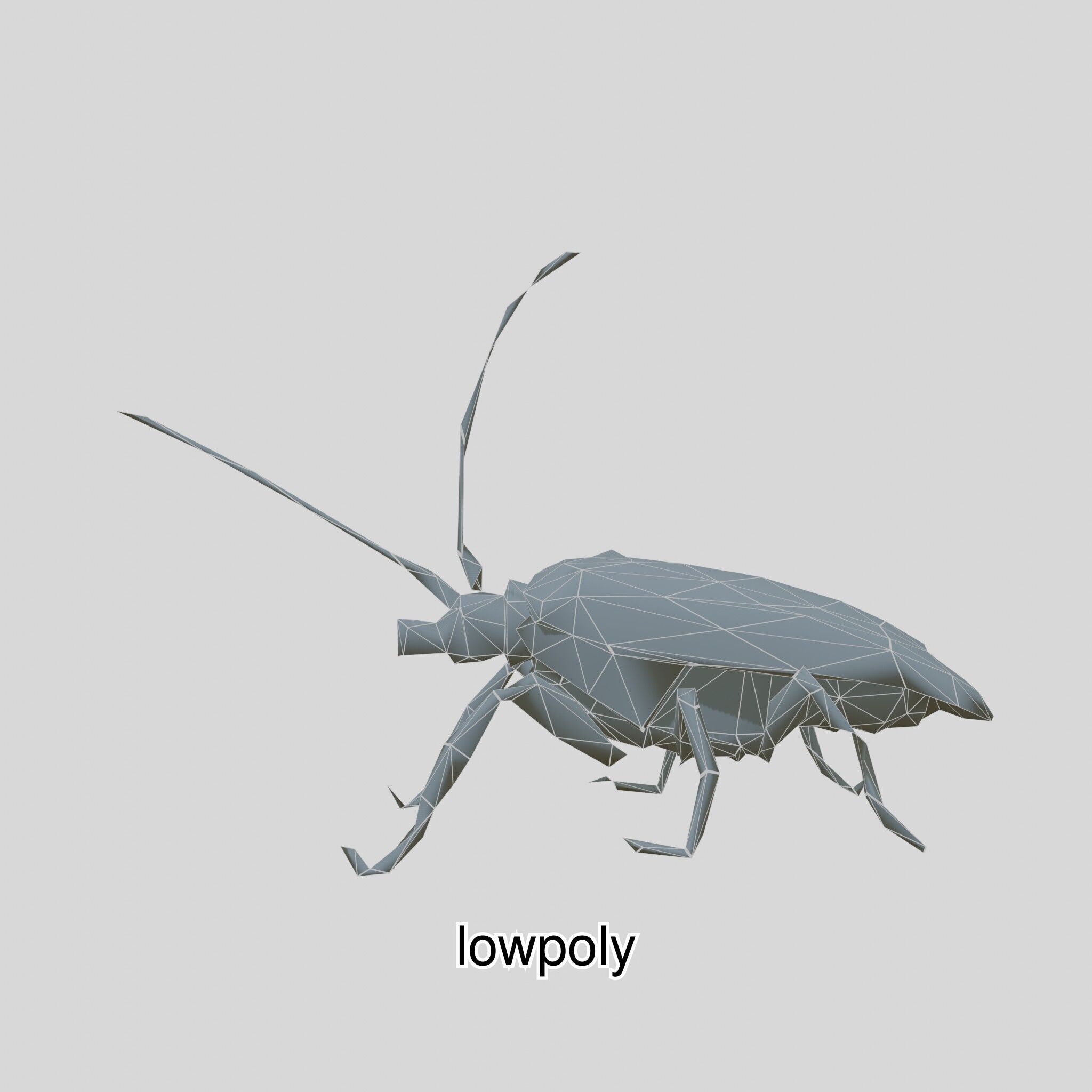 Futuristic Robotic Cockroach Model Low-poly 3D model_41