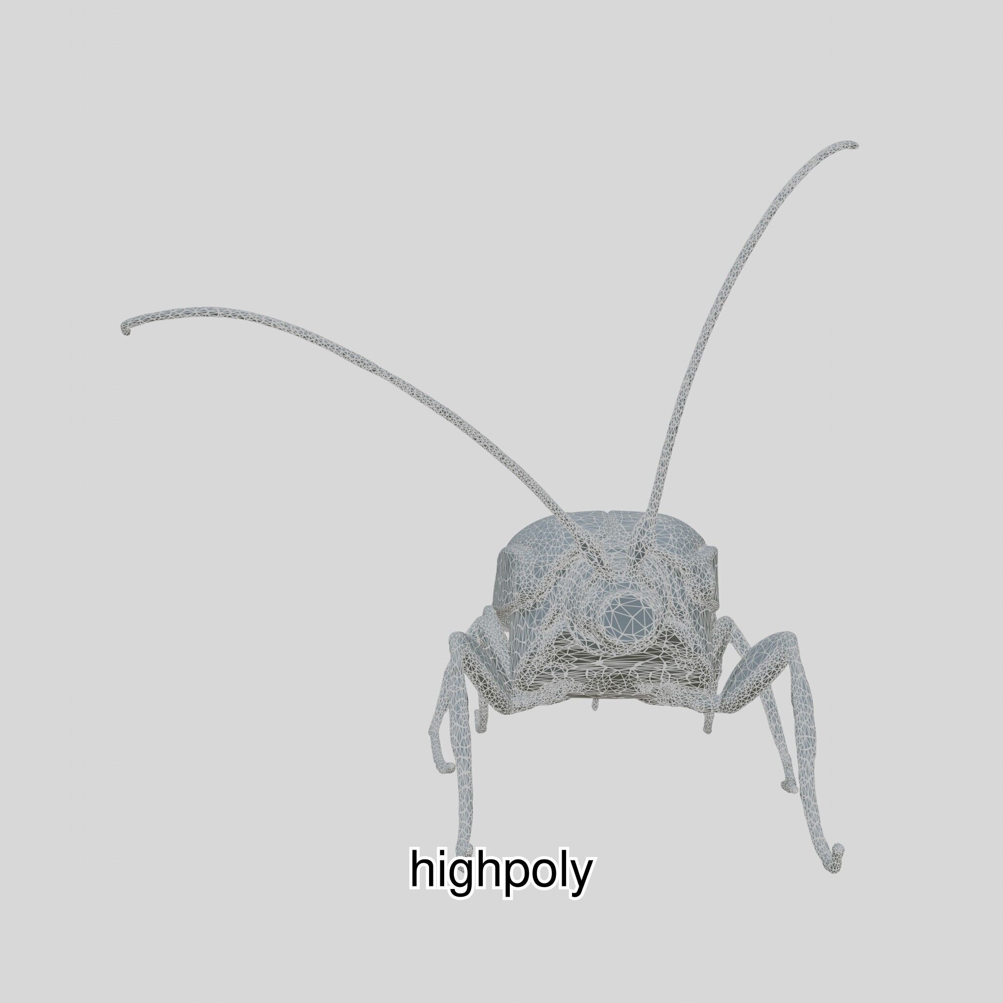 Futuristic Robotic Cockroach Model Low-poly 3D model_7