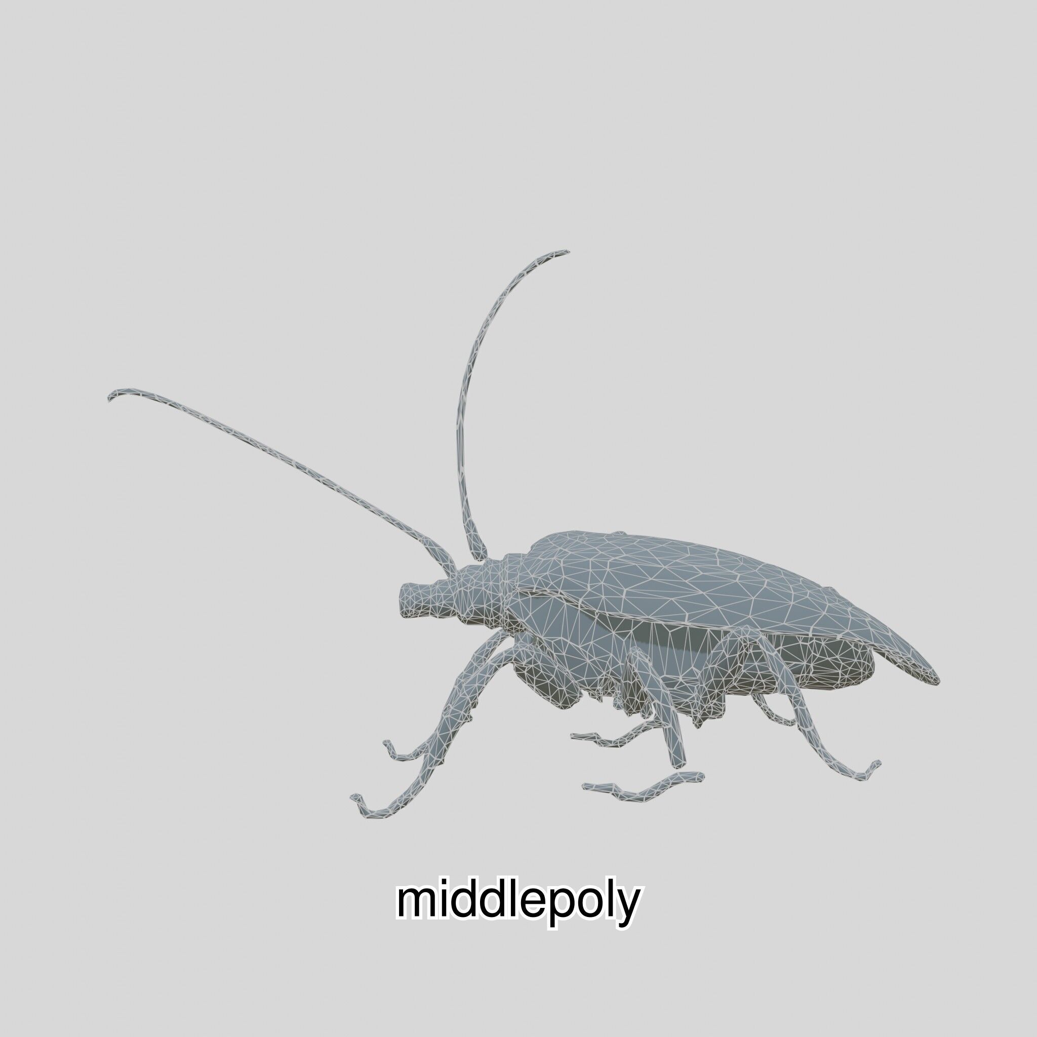 Futuristic Robotic Cockroach Model Low-poly 3D model_24