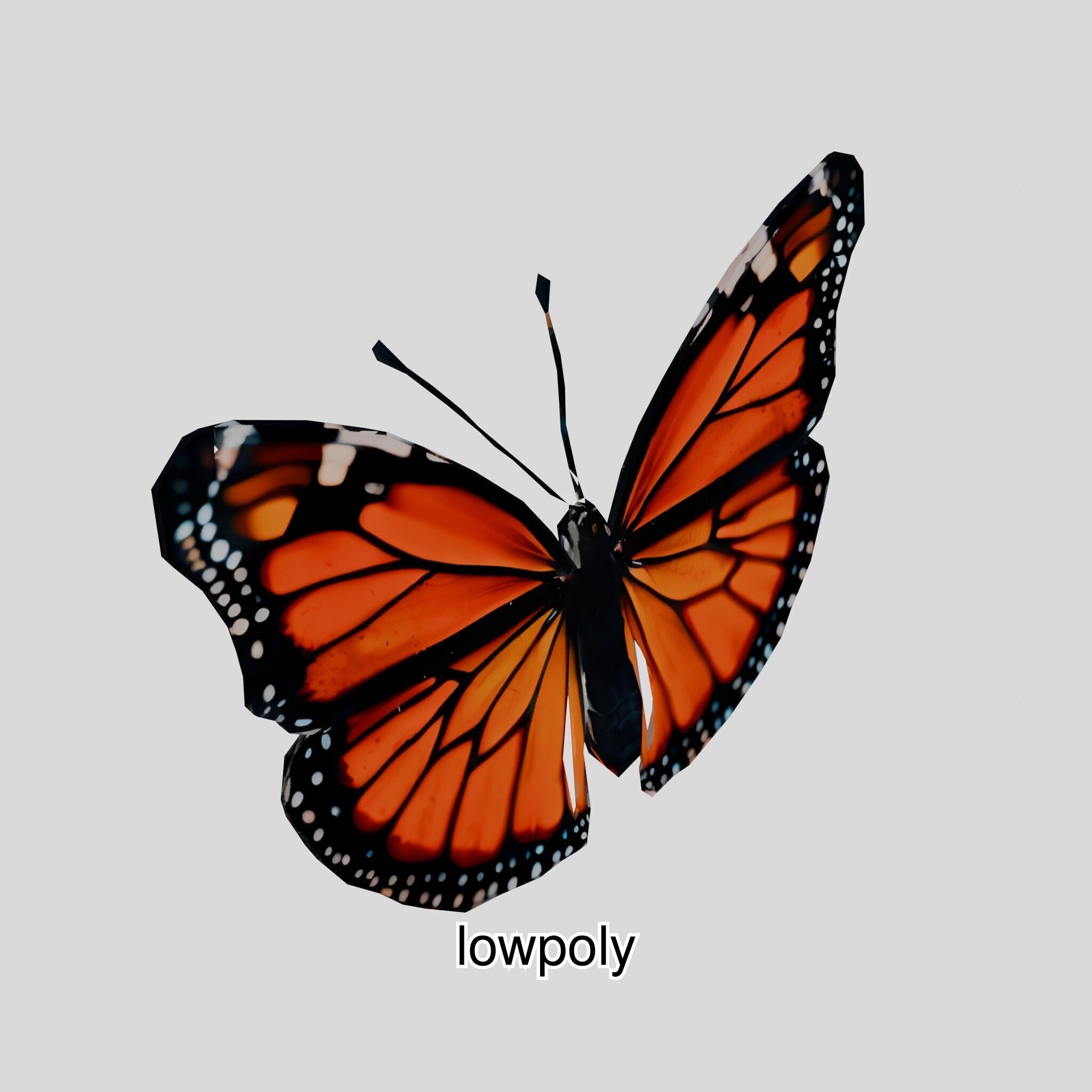 Monarch Butterfly Realistic 3D Model Low-poly 3D model_48