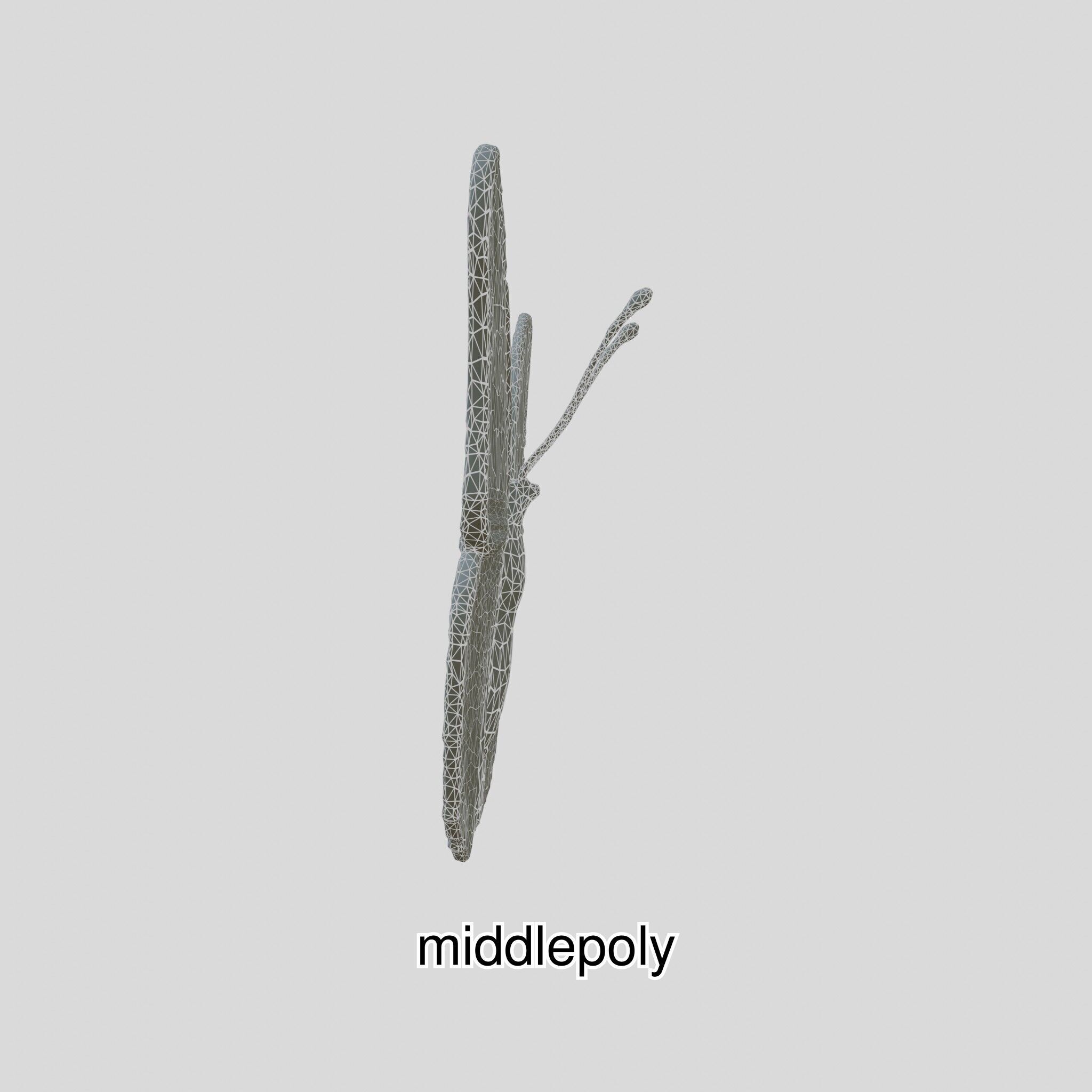 Monarch Butterfly Realistic 3D Model Low-poly 3D model_27