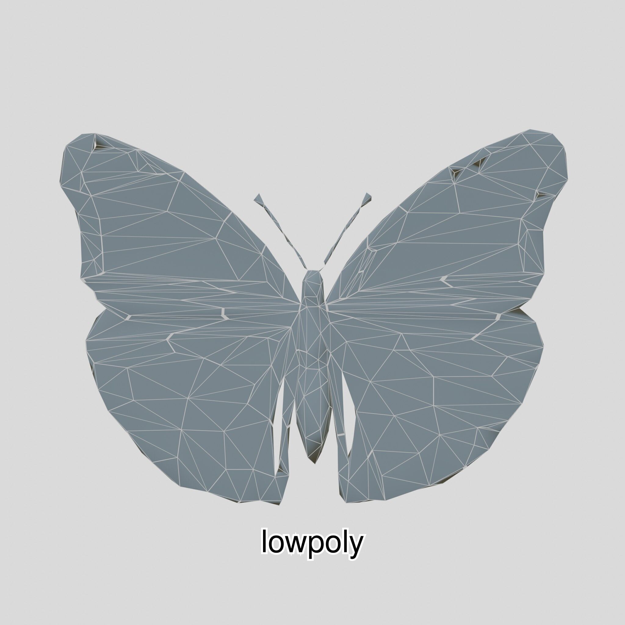 Monarch Butterfly Realistic 3D Model Low-poly 3D model_41