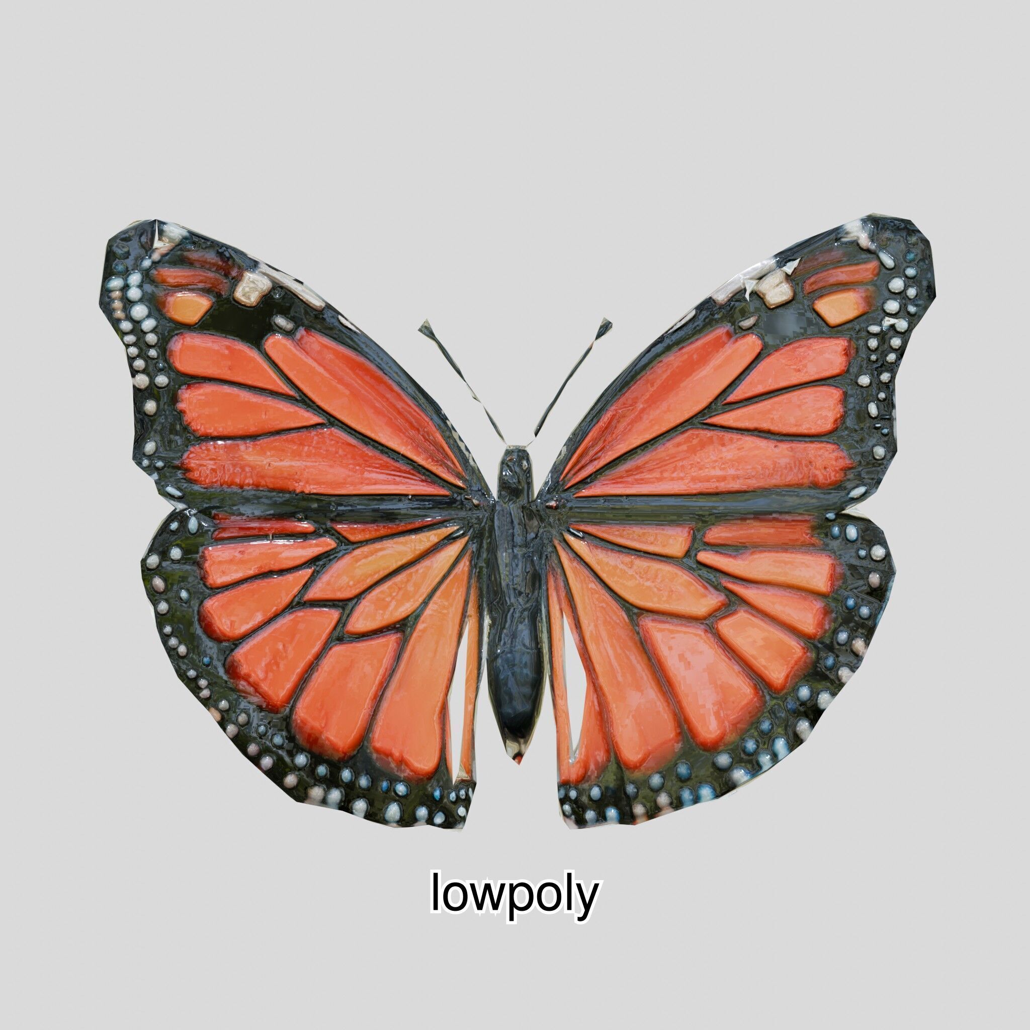 Monarch Butterfly Realistic 3D Model Low-poly 3D model_43