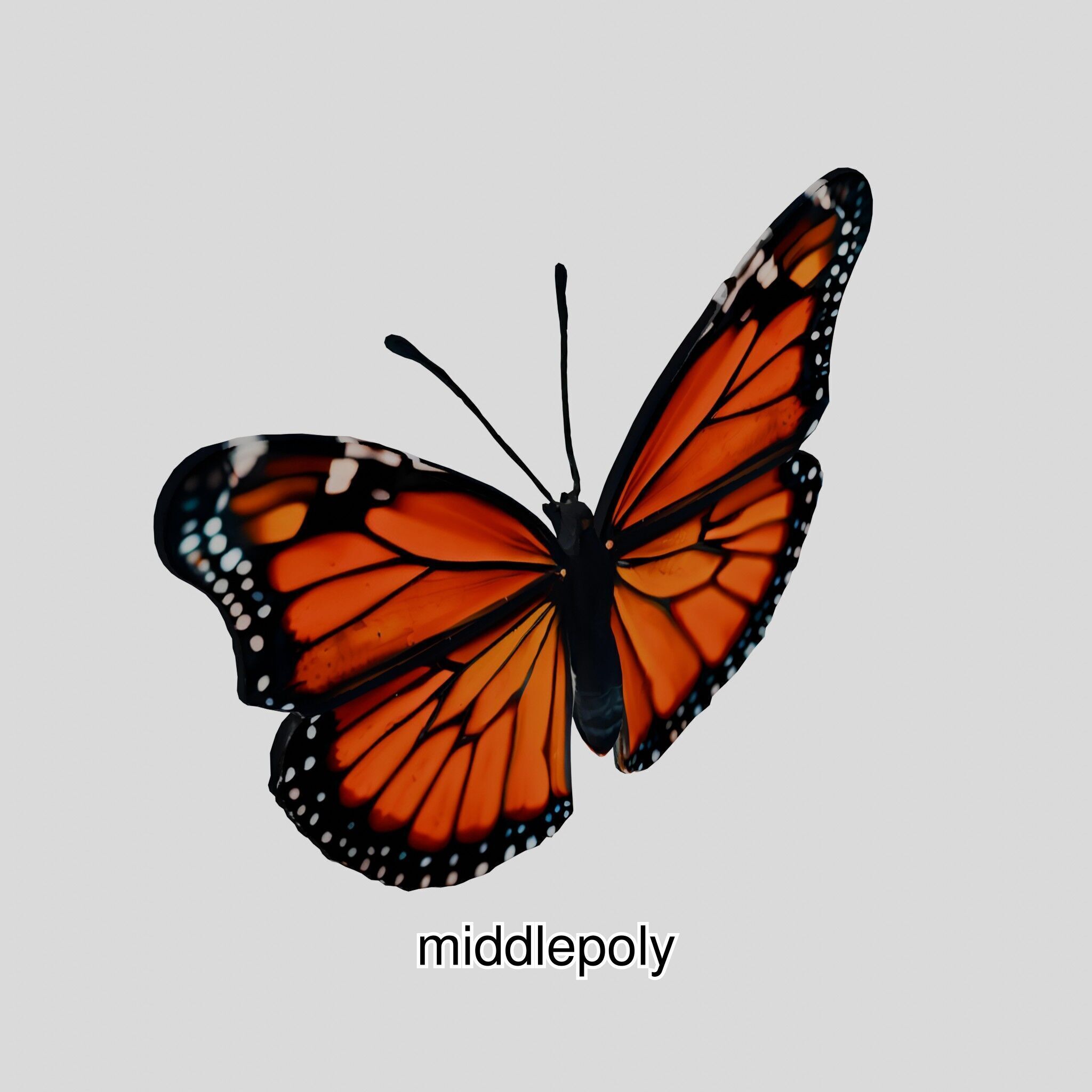 Monarch Butterfly Realistic 3D Model Low-poly 3D model_30