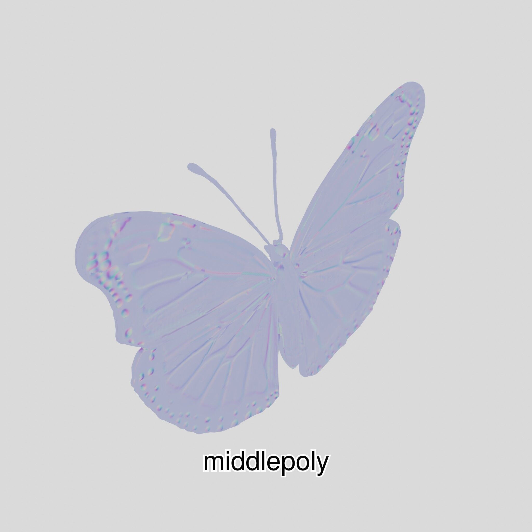 Monarch Butterfly Realistic 3D Model Low-poly 3D model_31