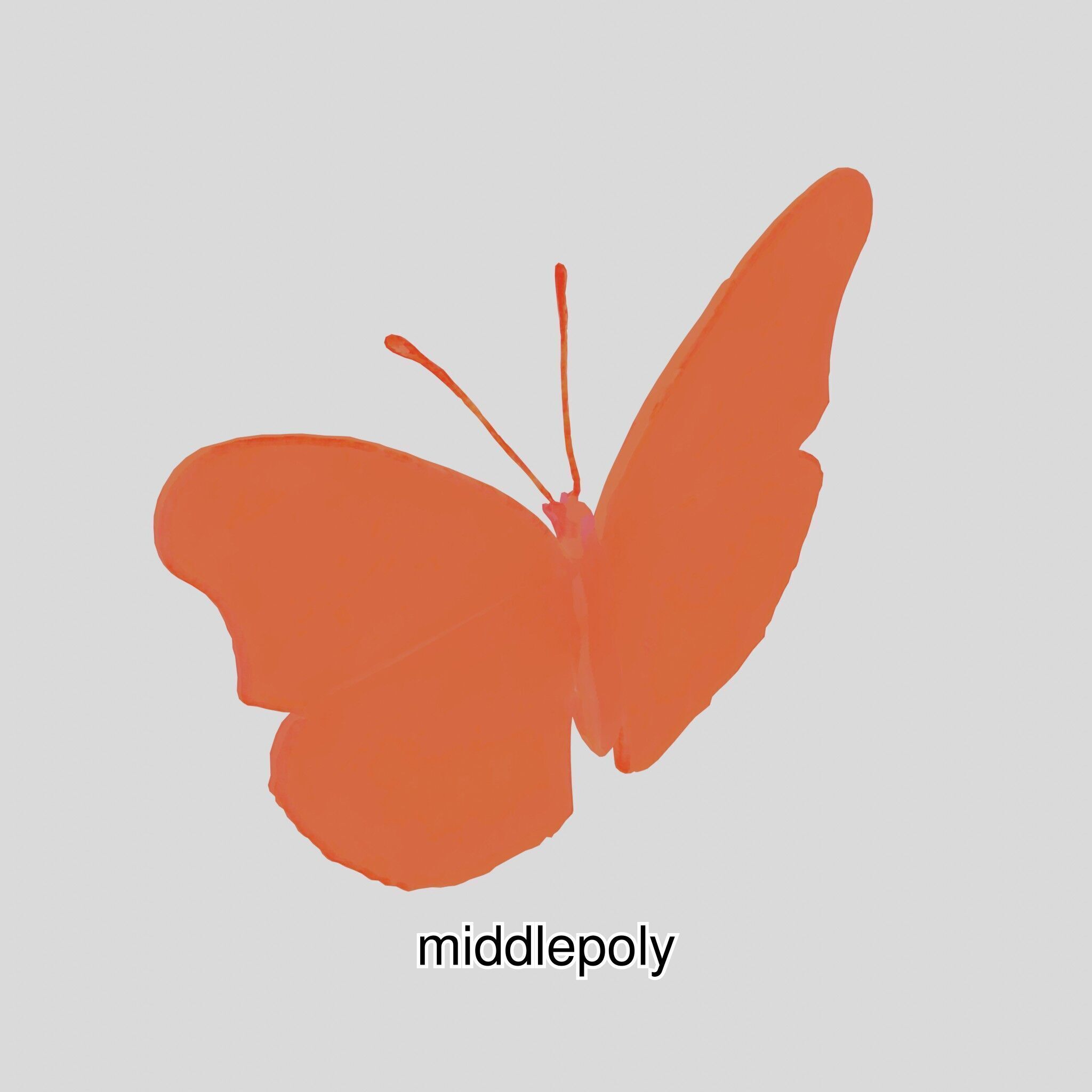 Monarch Butterfly Realistic 3D Model Low-poly 3D model_32