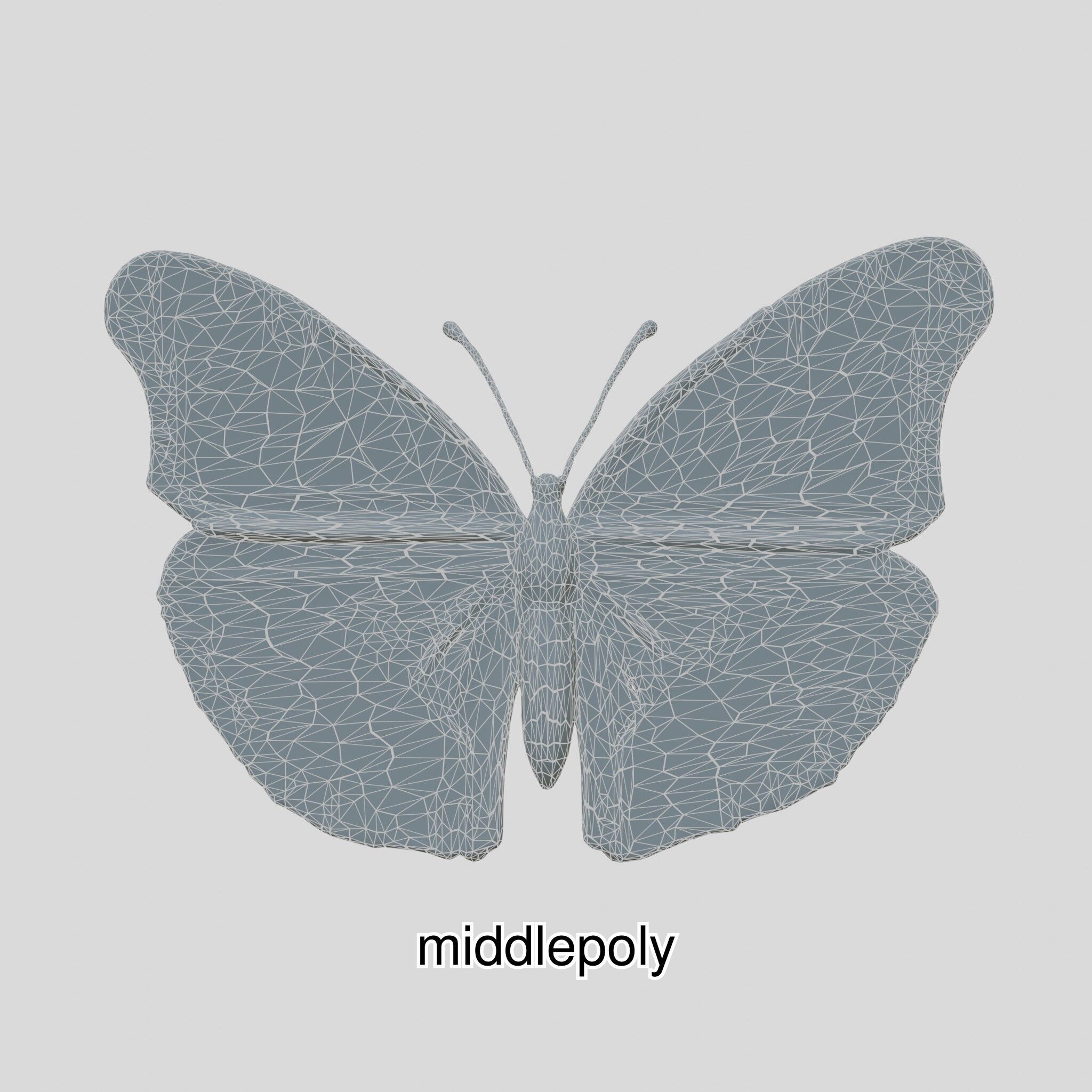 Monarch Butterfly Realistic 3D Model Low-poly 3D model_24