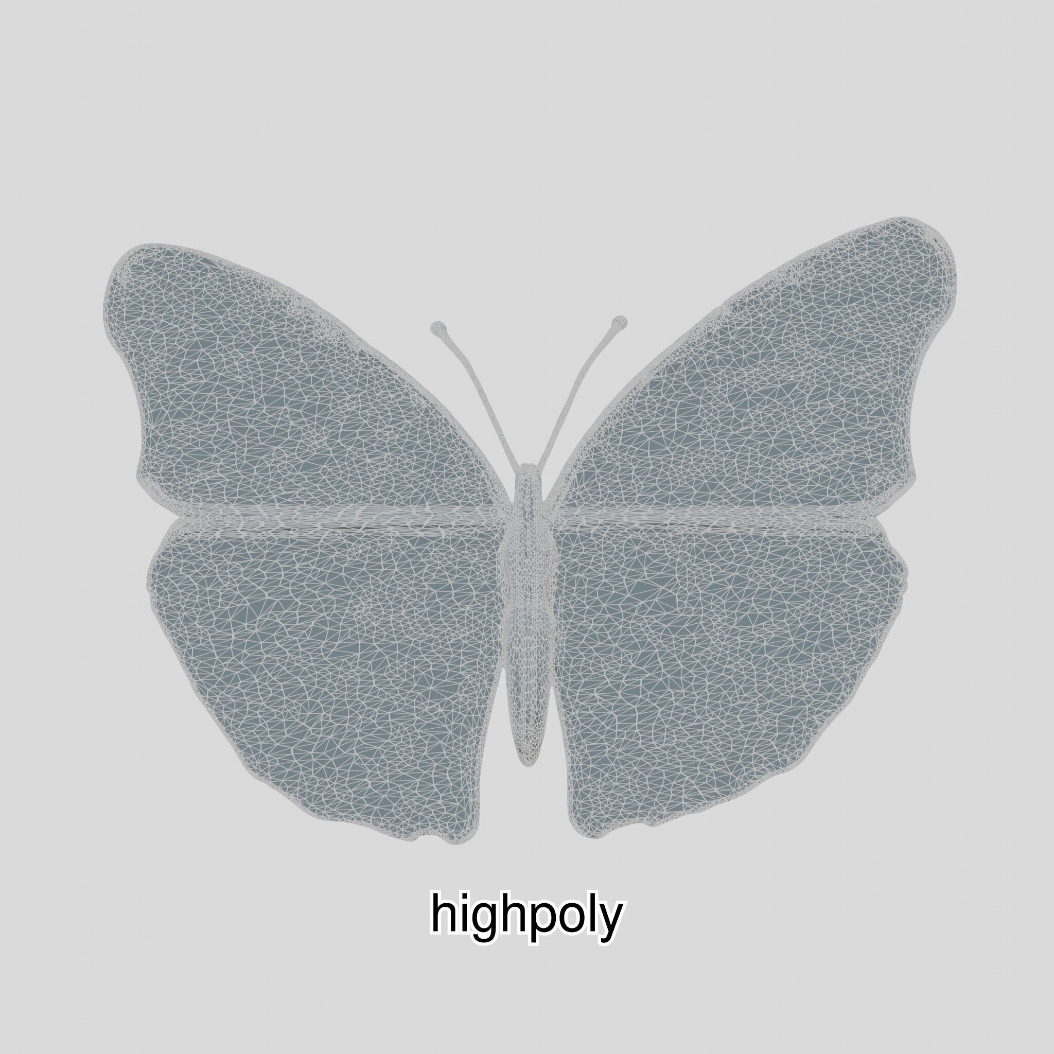 Monarch Butterfly Realistic 3D Model Low-poly 3D model_7