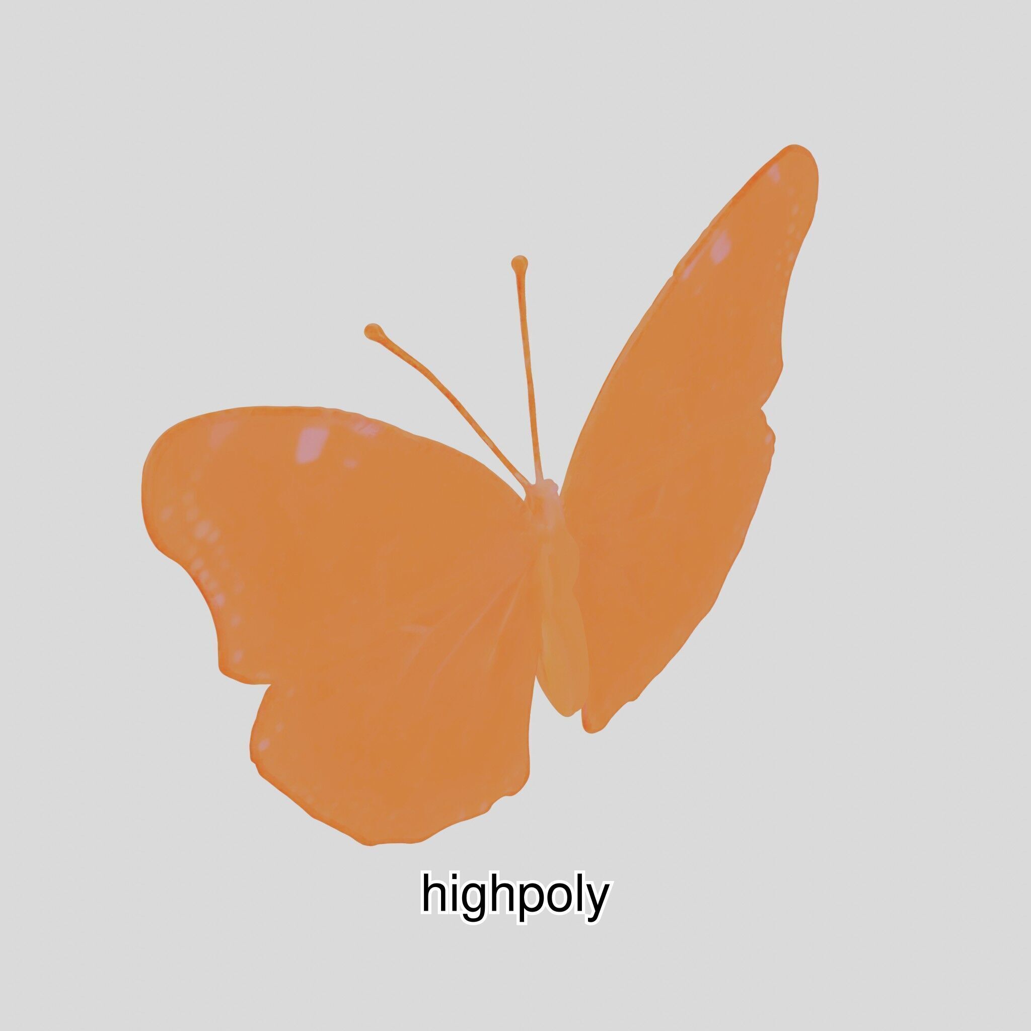 Monarch Butterfly Realistic 3D Model Low-poly 3D model_15