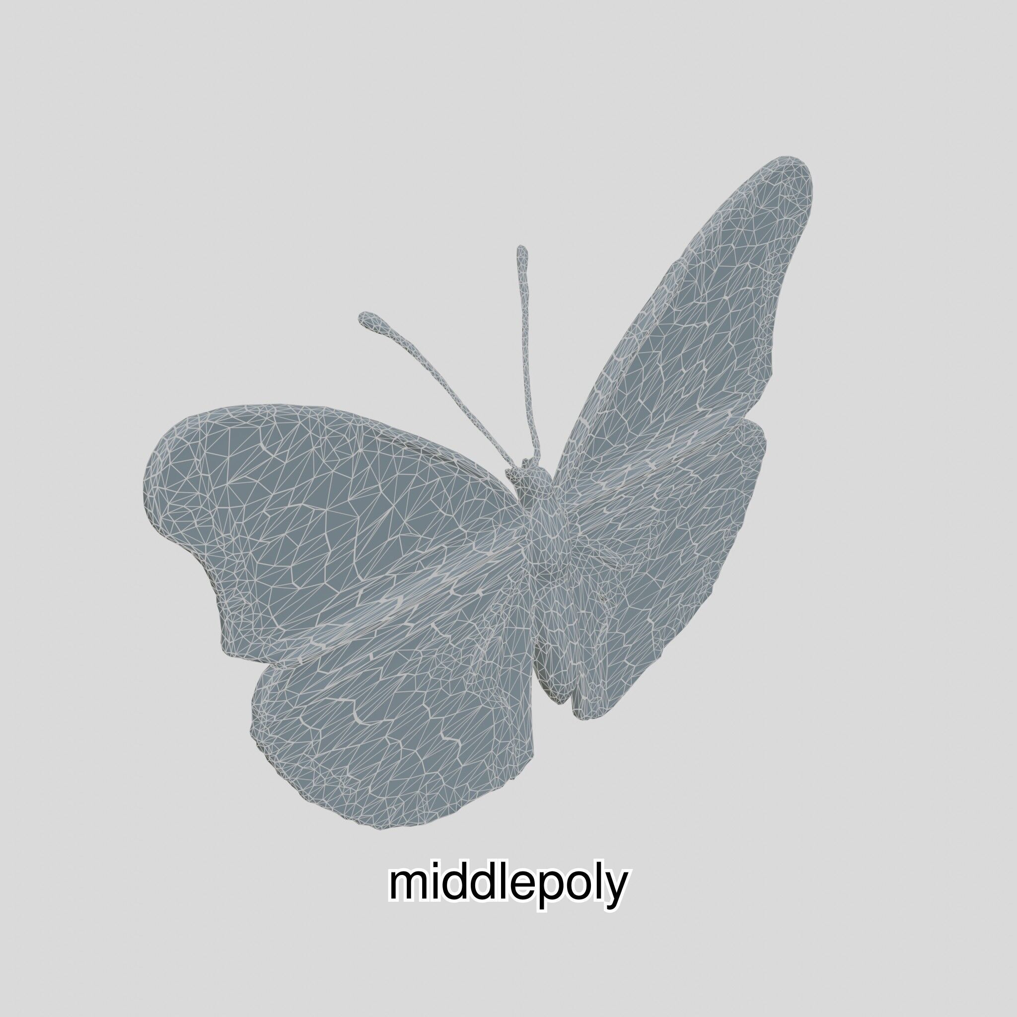 Monarch Butterfly Realistic 3D Model Low-poly 3D model_28