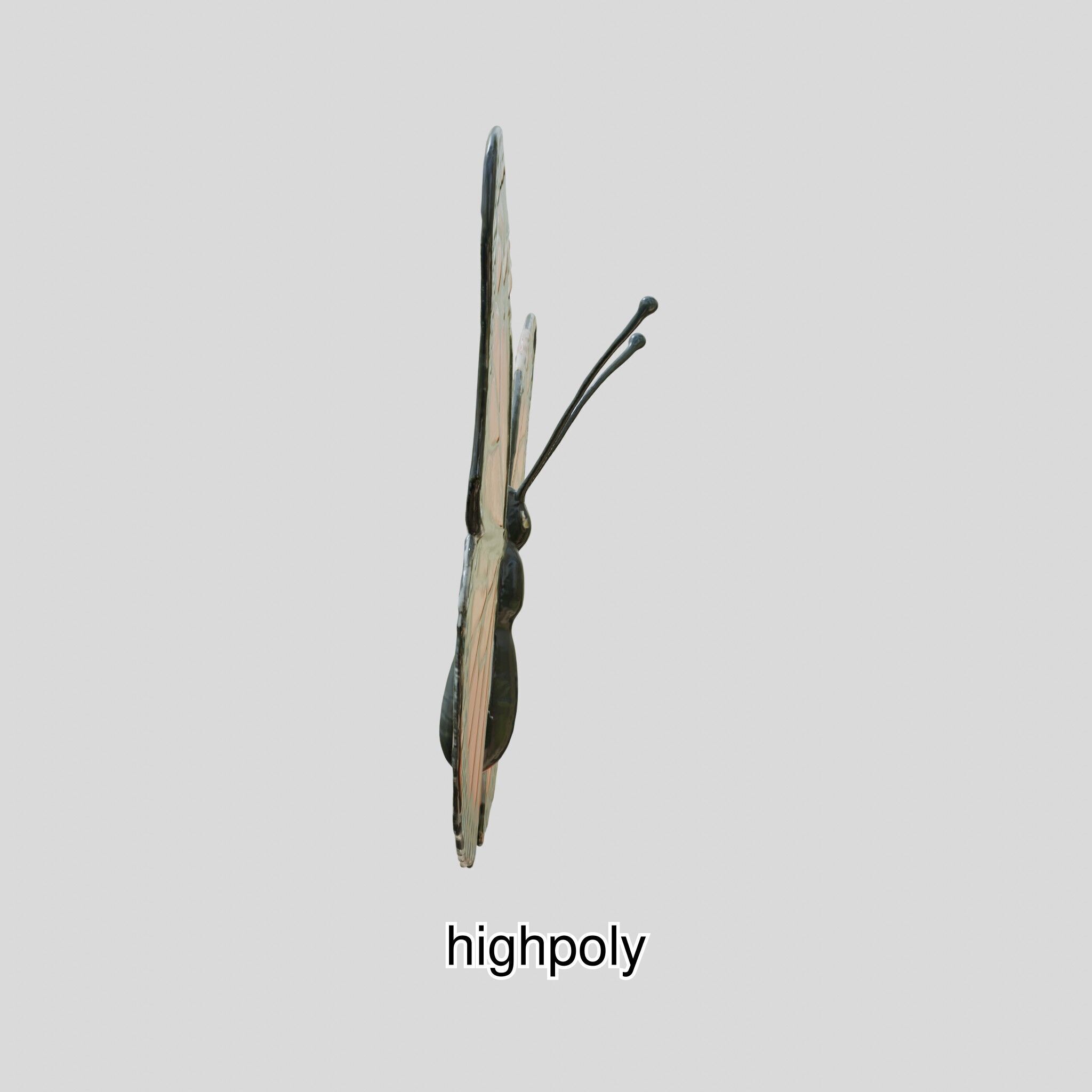 Monarch Butterfly Realistic 3D Model Low-poly 3D model_6