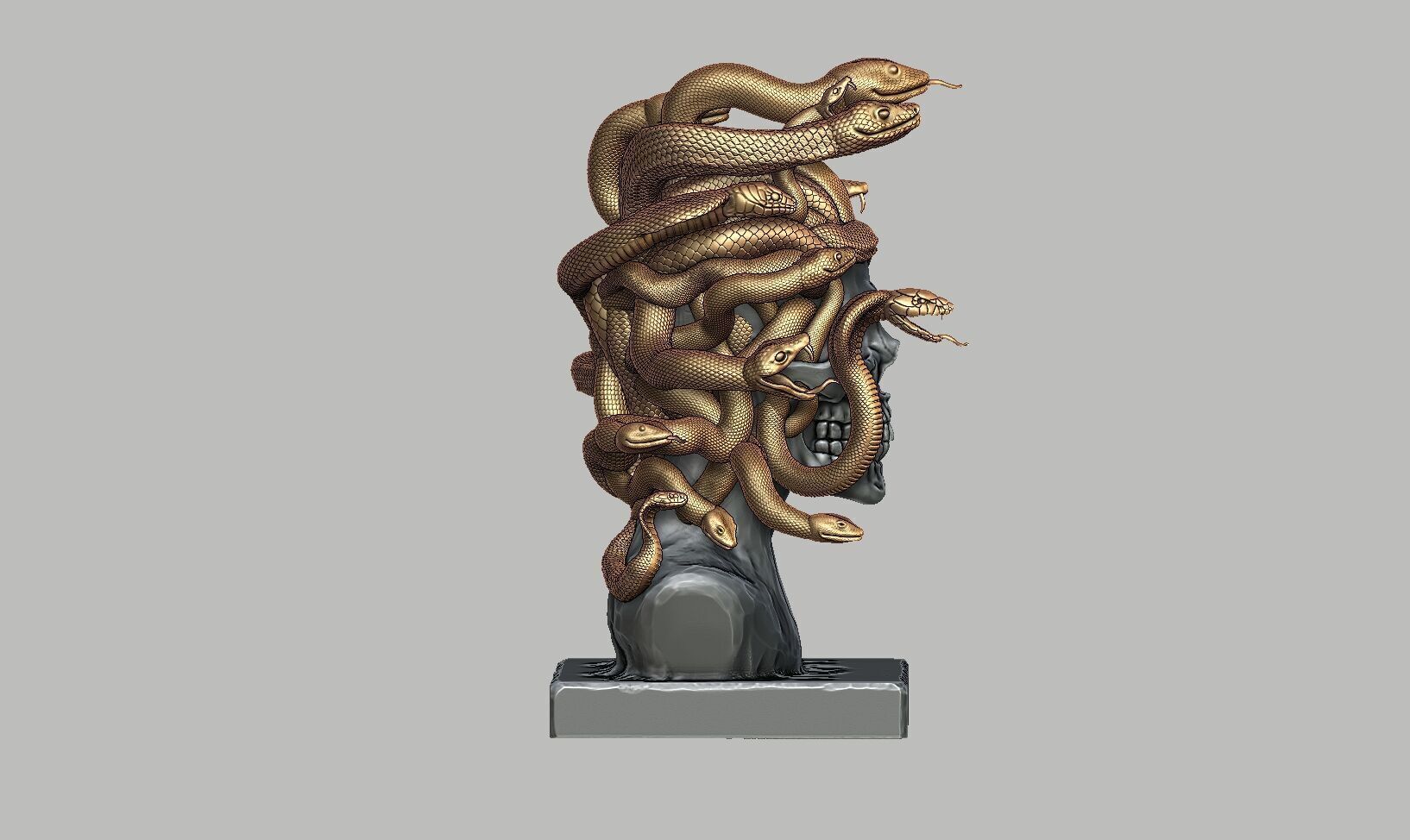 Medusa Skull snake bust Cyborg Medusa Skull snake  3D print model_8