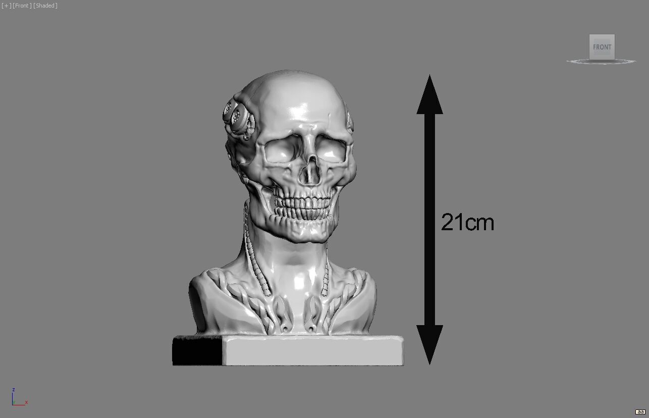 Skull robot demon dragon bust Cyborg skull dragon  3D print model_6