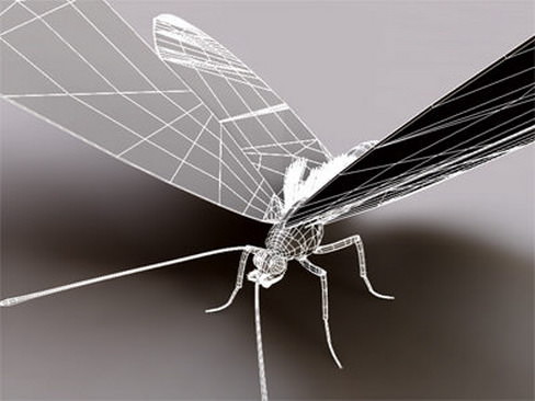 Monarch butterfly 3D model_4