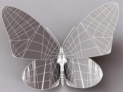 Monarch butterfly 3D model_5