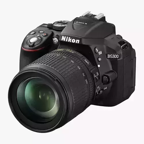 Nikon D5300  Nikkor 18 105 VR  SD 8GB Lexar Premium Low-poly 3D model