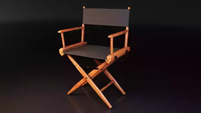 Director Chair