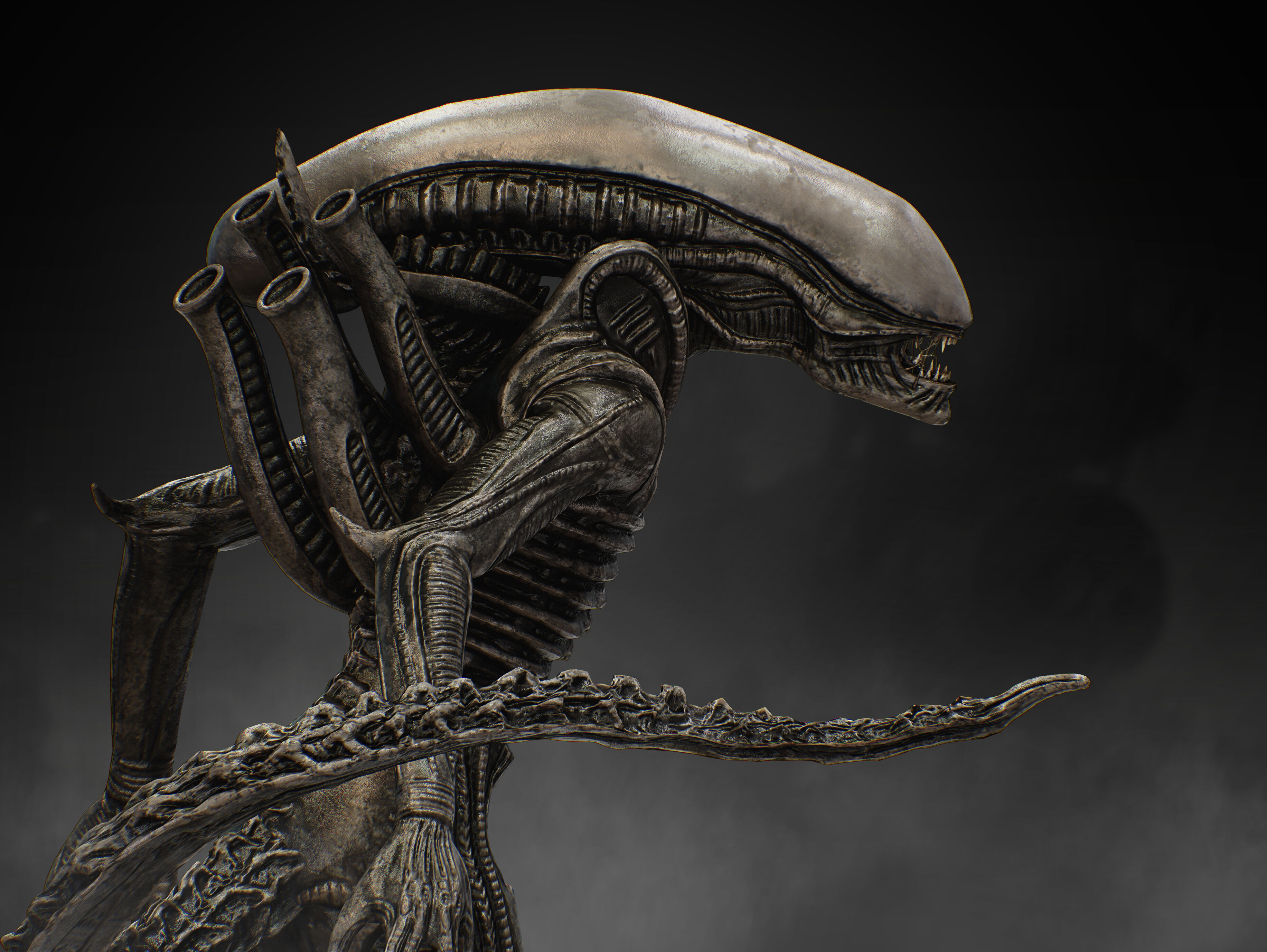 Xenomorph Low-poly 3D model_4